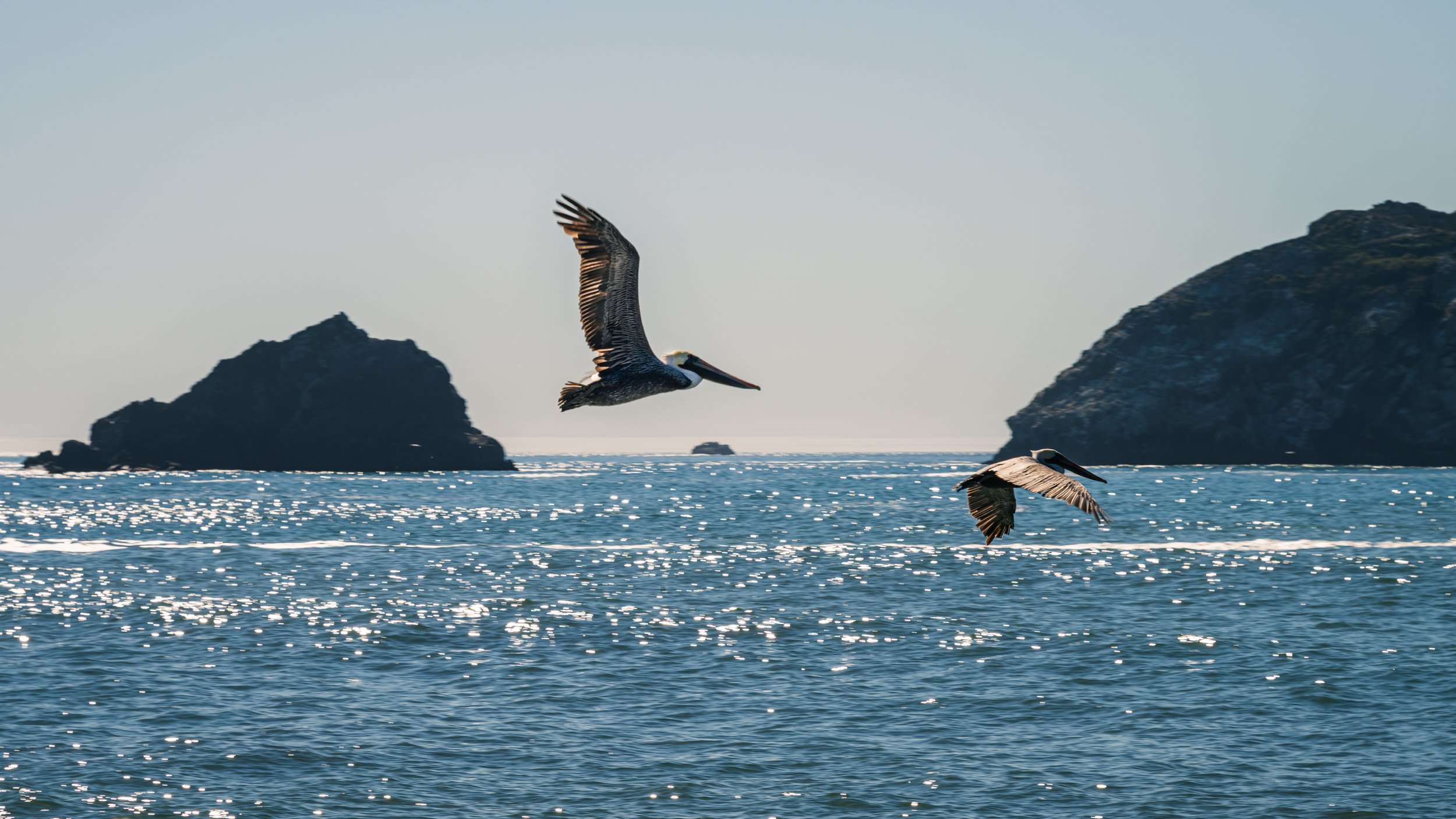 DT24-WestCoastp1 (17 of 101).jpg