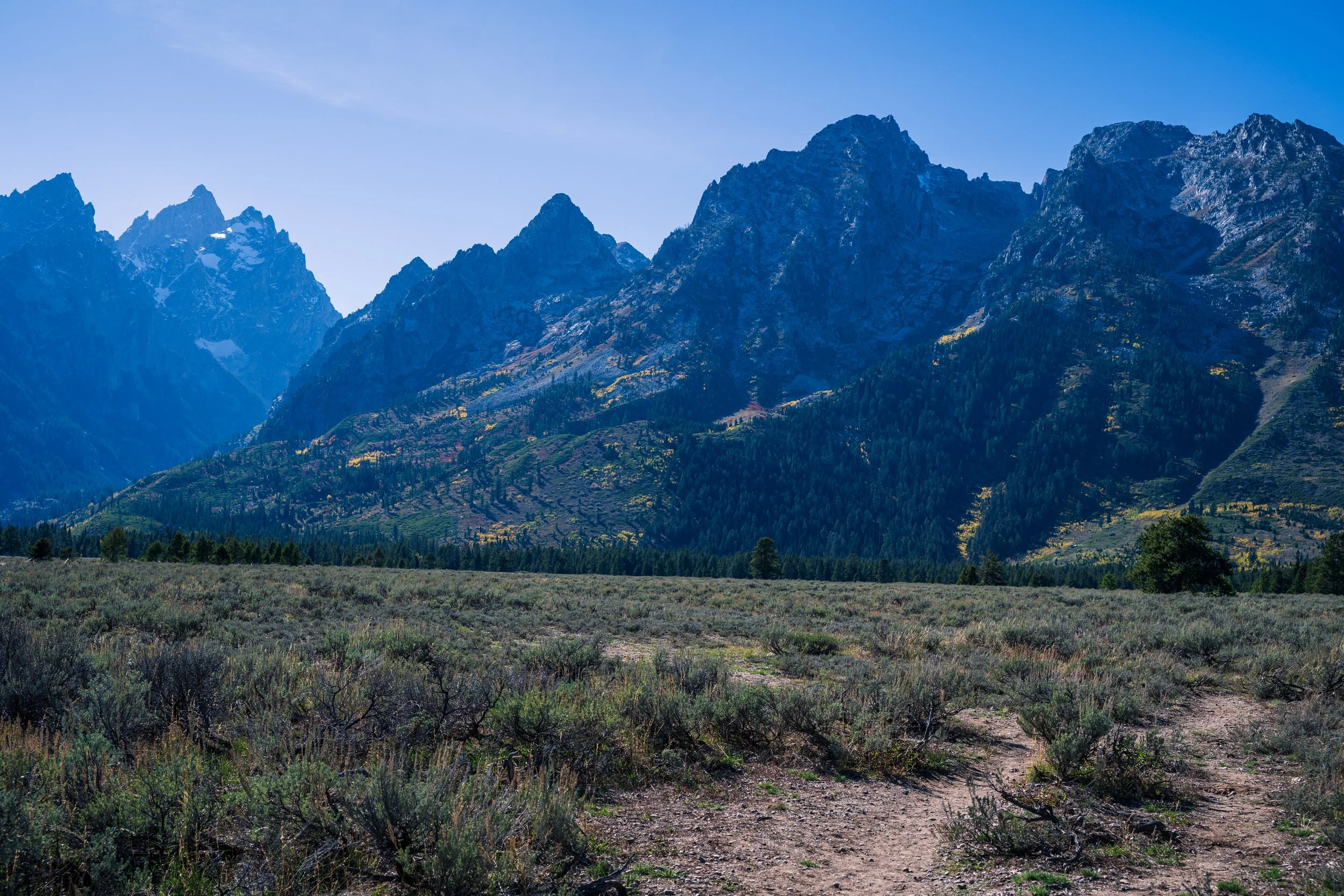 DT24-Teton (22 of 40).jpg