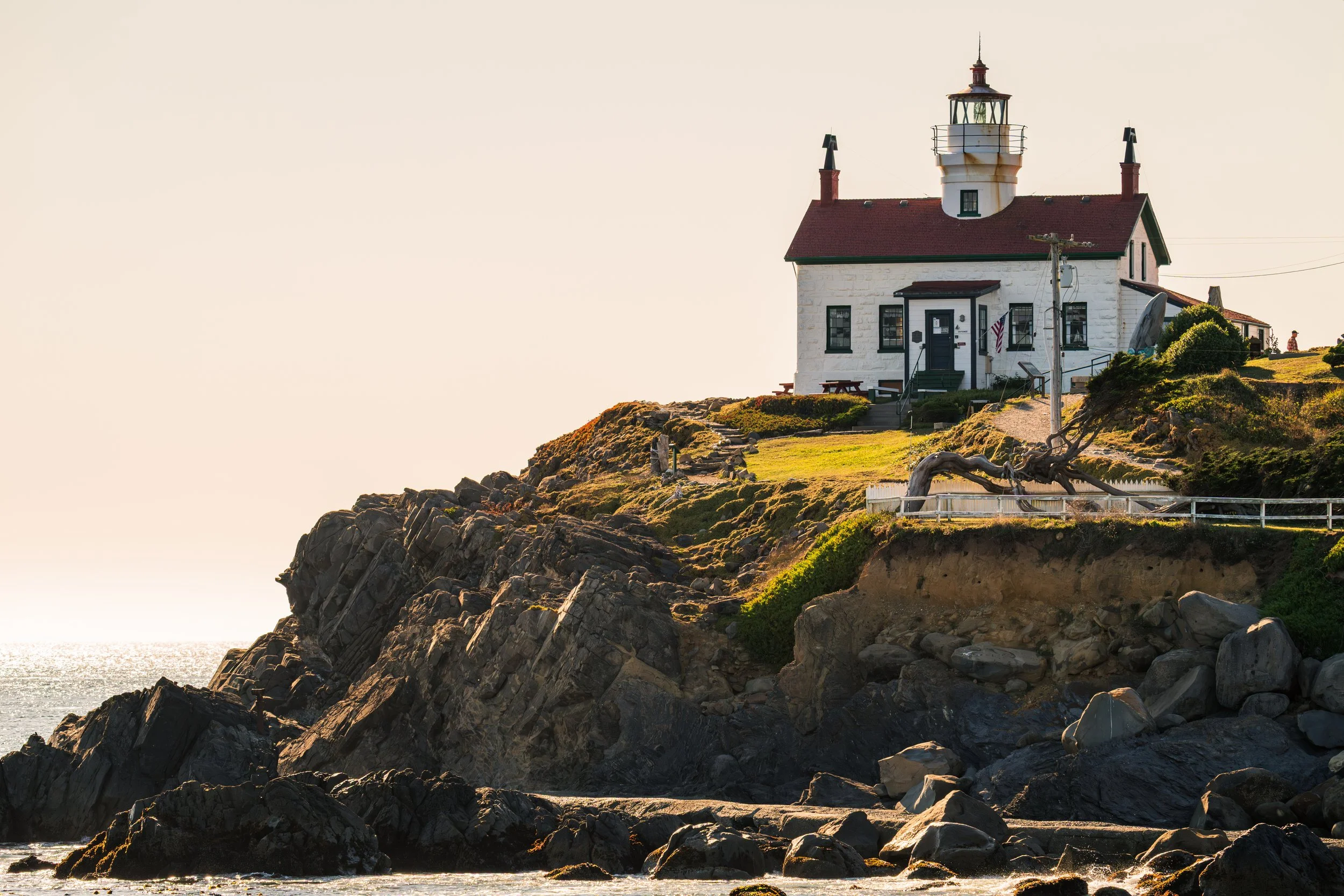 DT24-WestCoastp1 (57 of 101).jpg