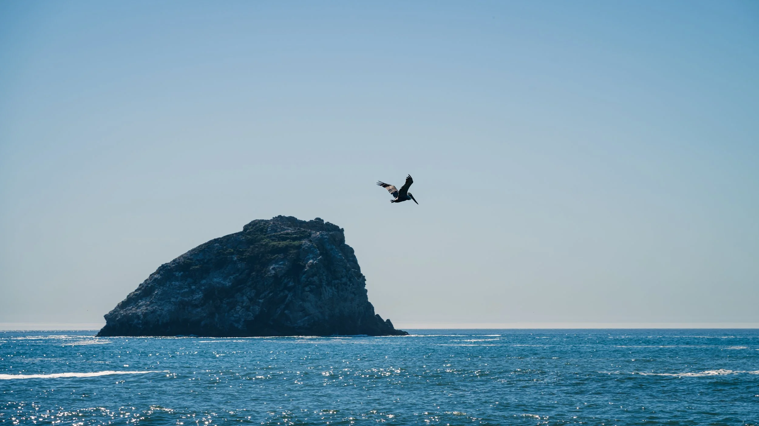 DT24-WestCoastp1 (16 of 101).jpg