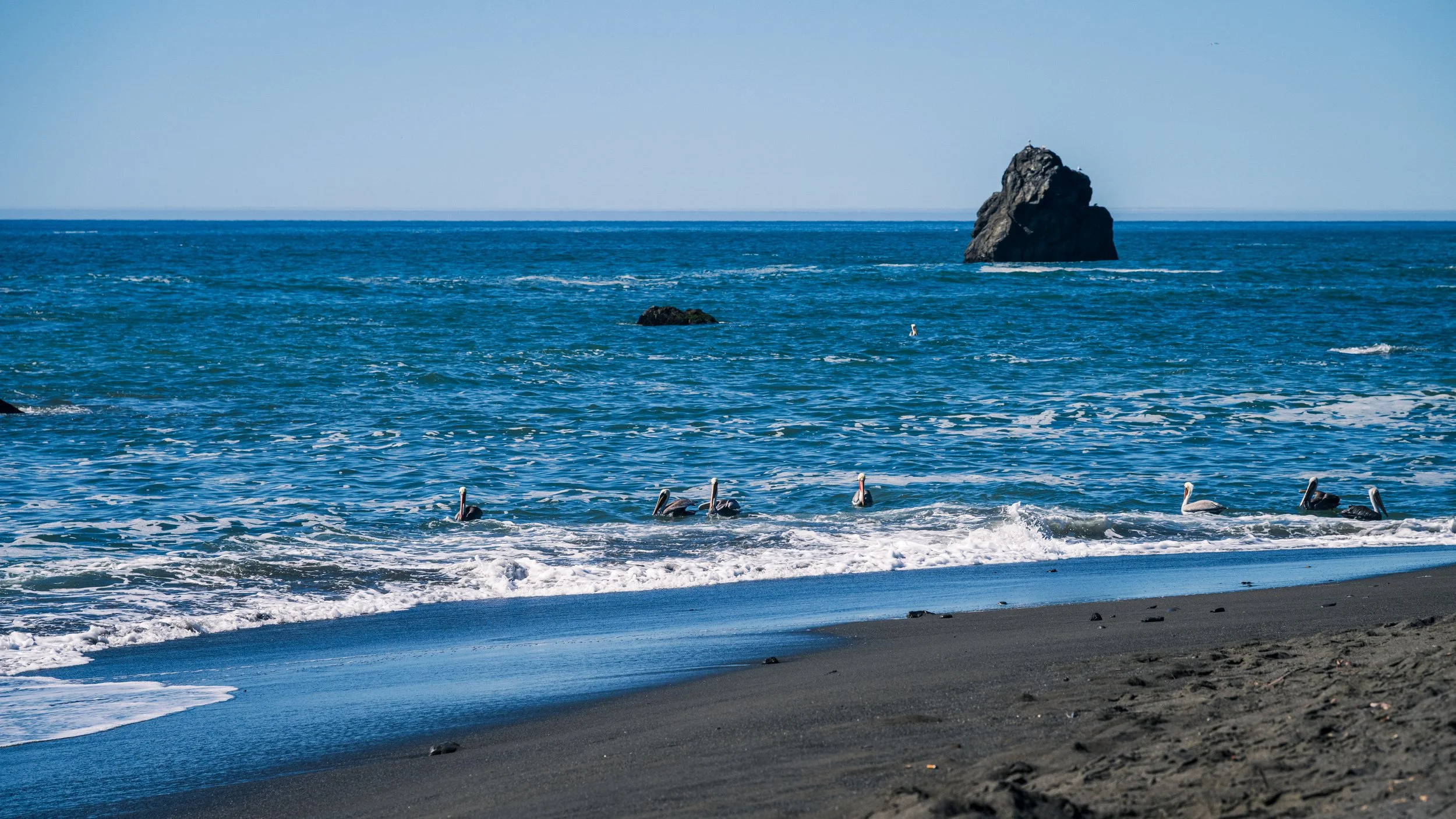 DT24-WestCoastp1 (21 of 101).jpg