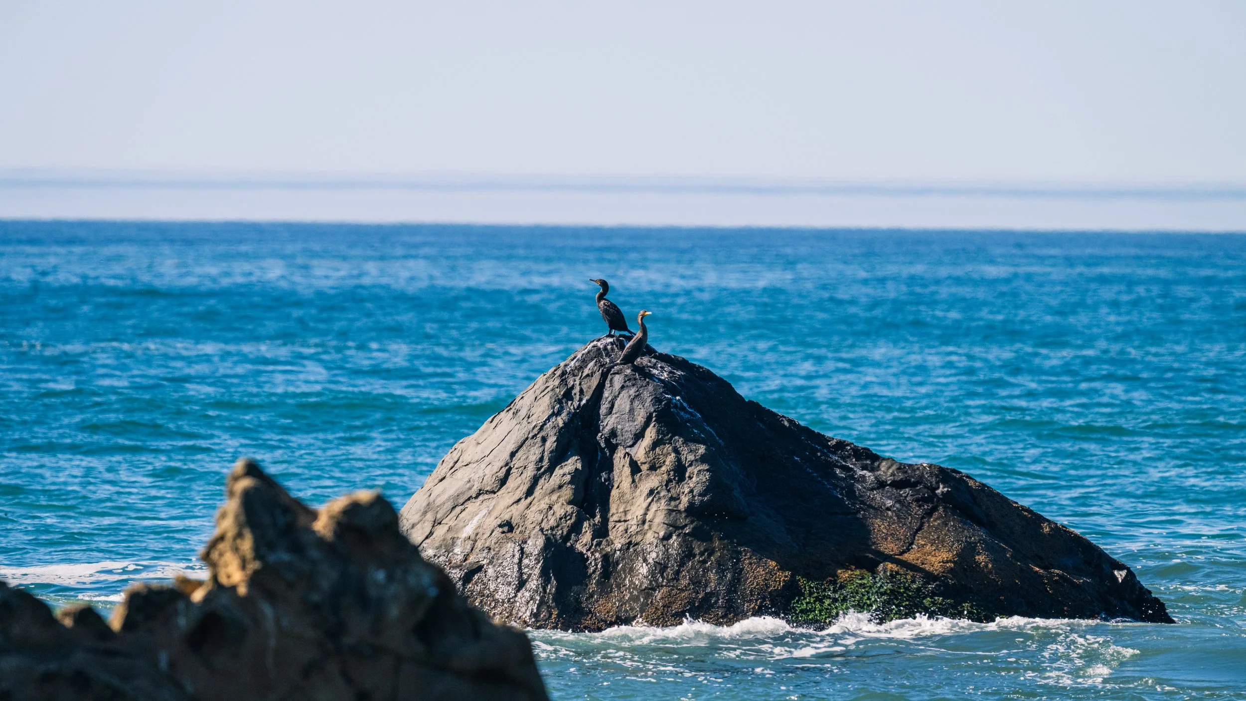 DT24-WestCoastp1 (30 of 101).jpg