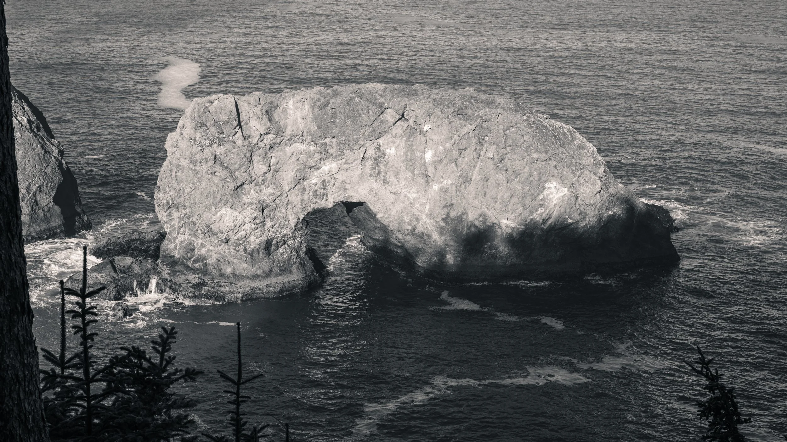 DT24-WestCoastp1 (96 of 101).jpg