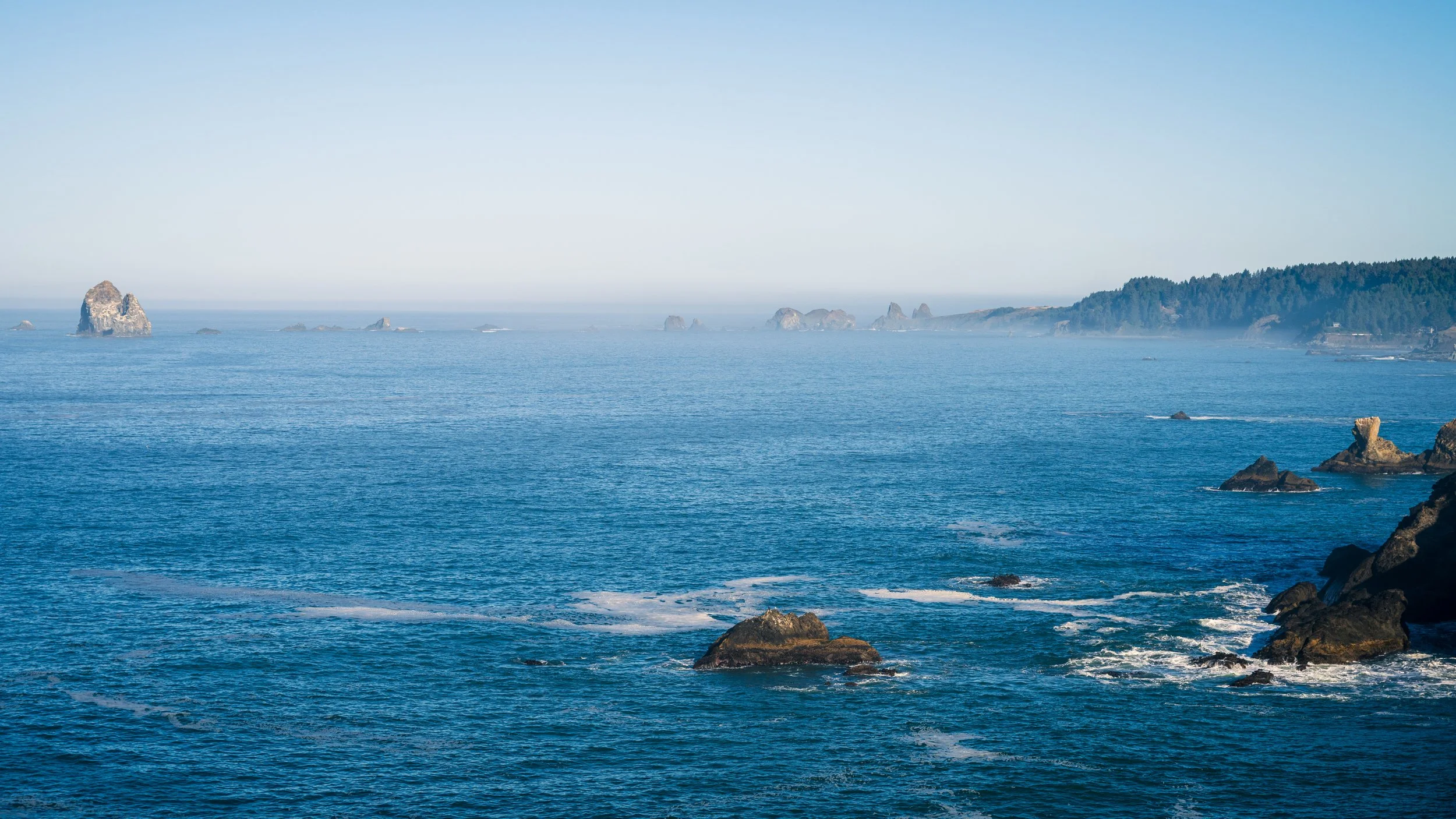 DT24-WestCoastp1 (92 of 101).jpg