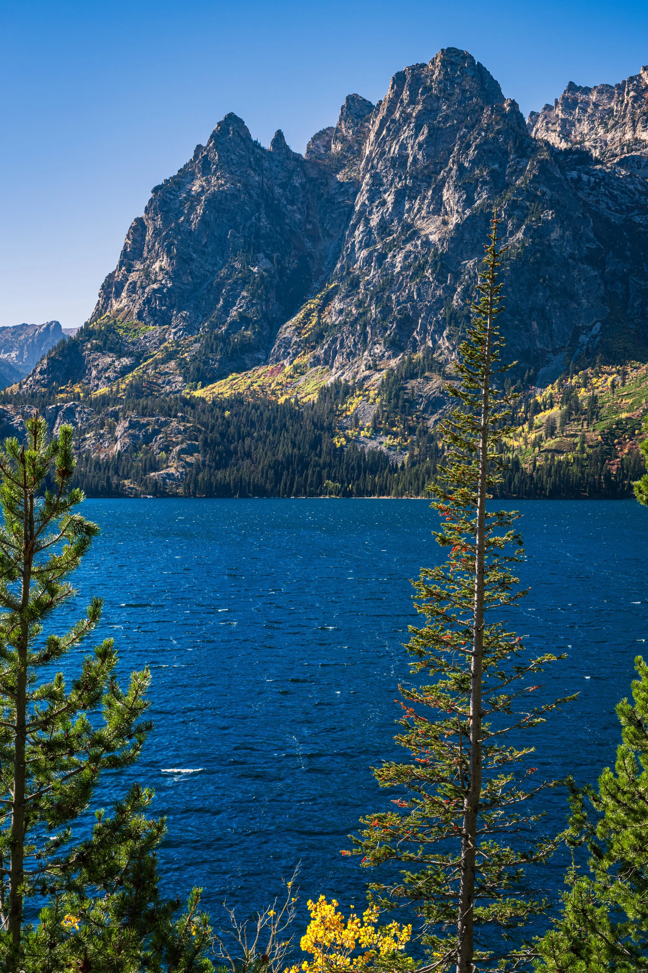 DT24-Teton (28 of 40).jpg