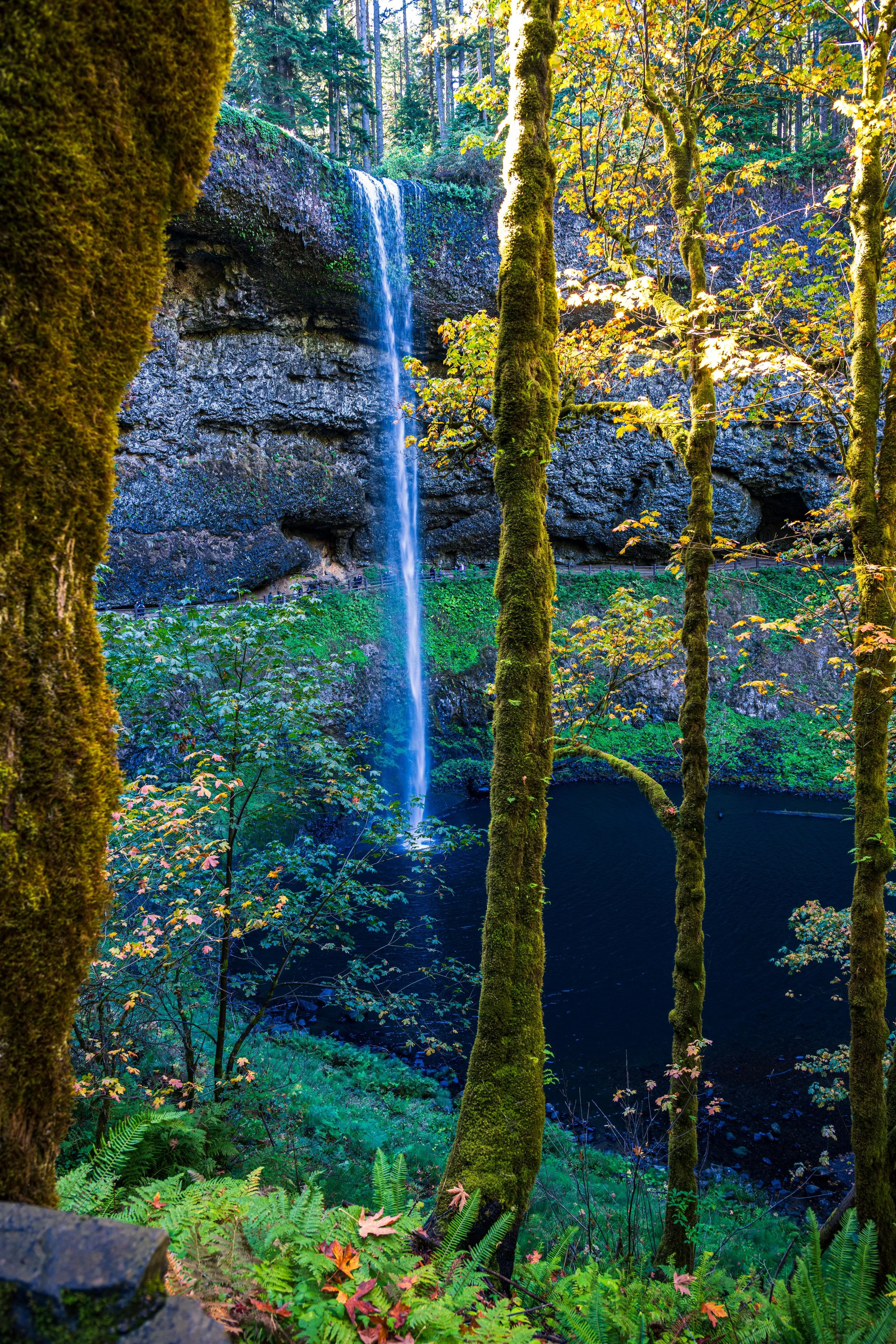 DT24-craterlake (3 of 73).jpg