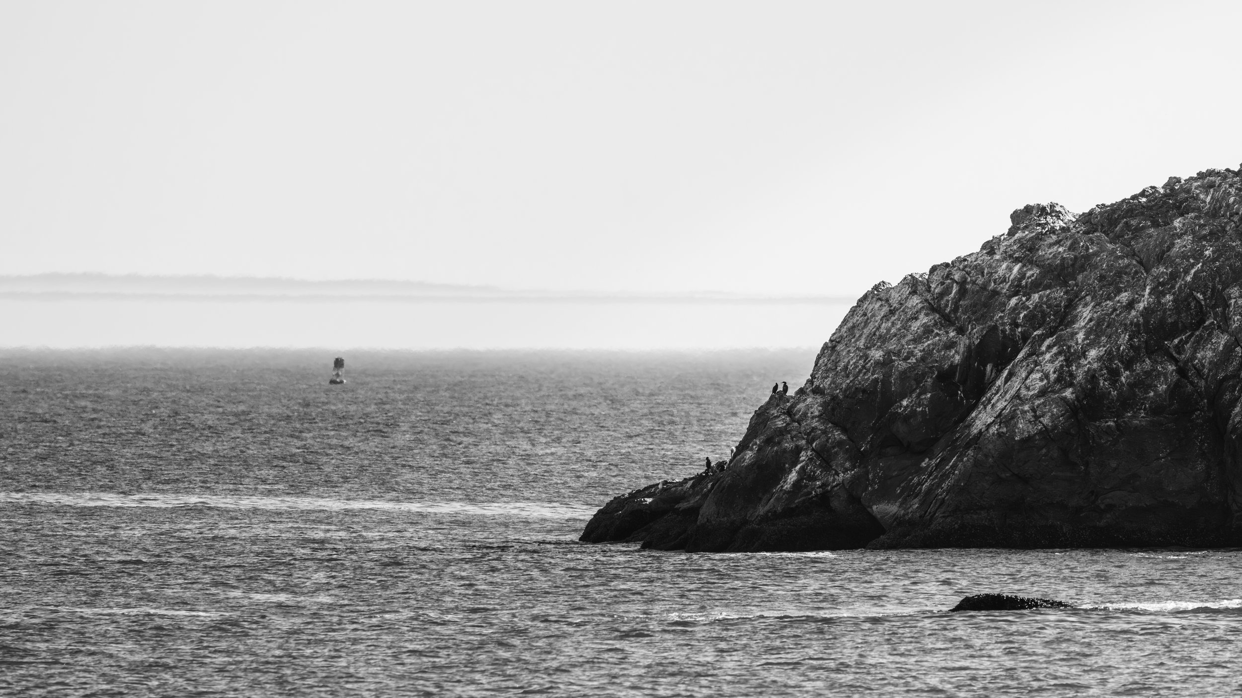 DT24-WestCoastp1 (55 of 101).jpg