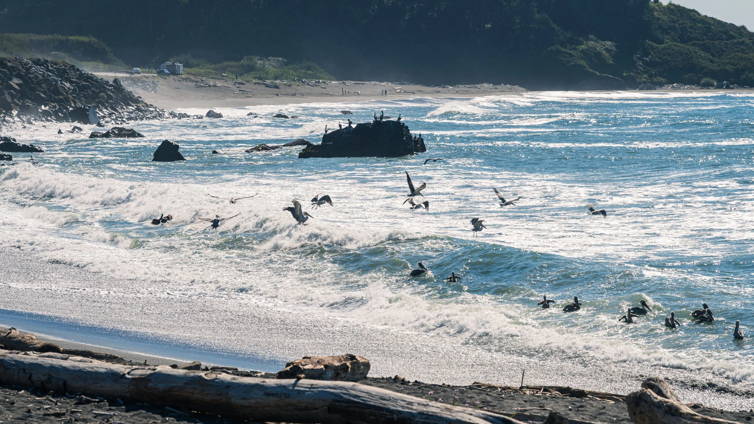 DT24-WestCoastp1 (11 of 101).jpg