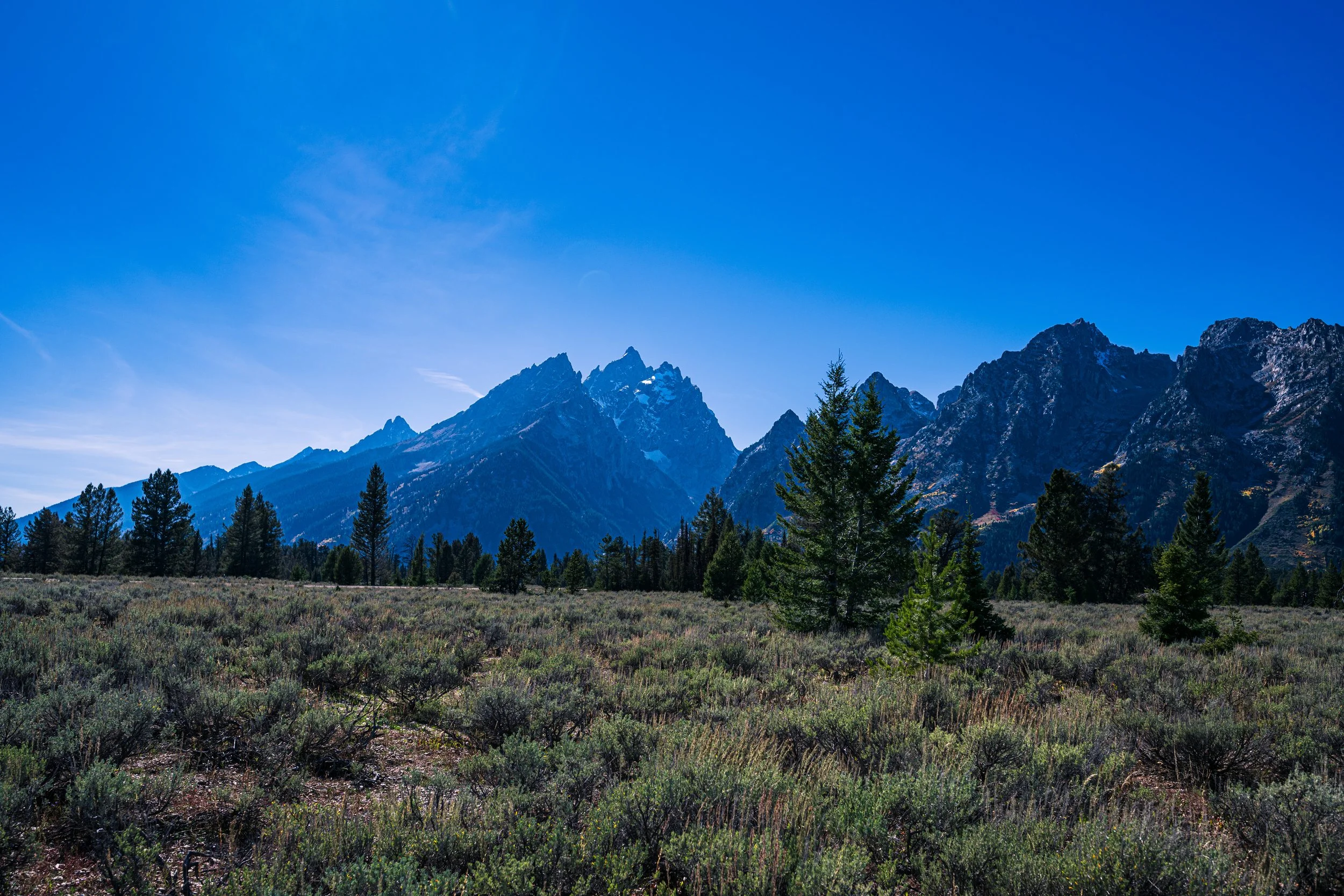 DT24-Teton (6 of 40).jpg