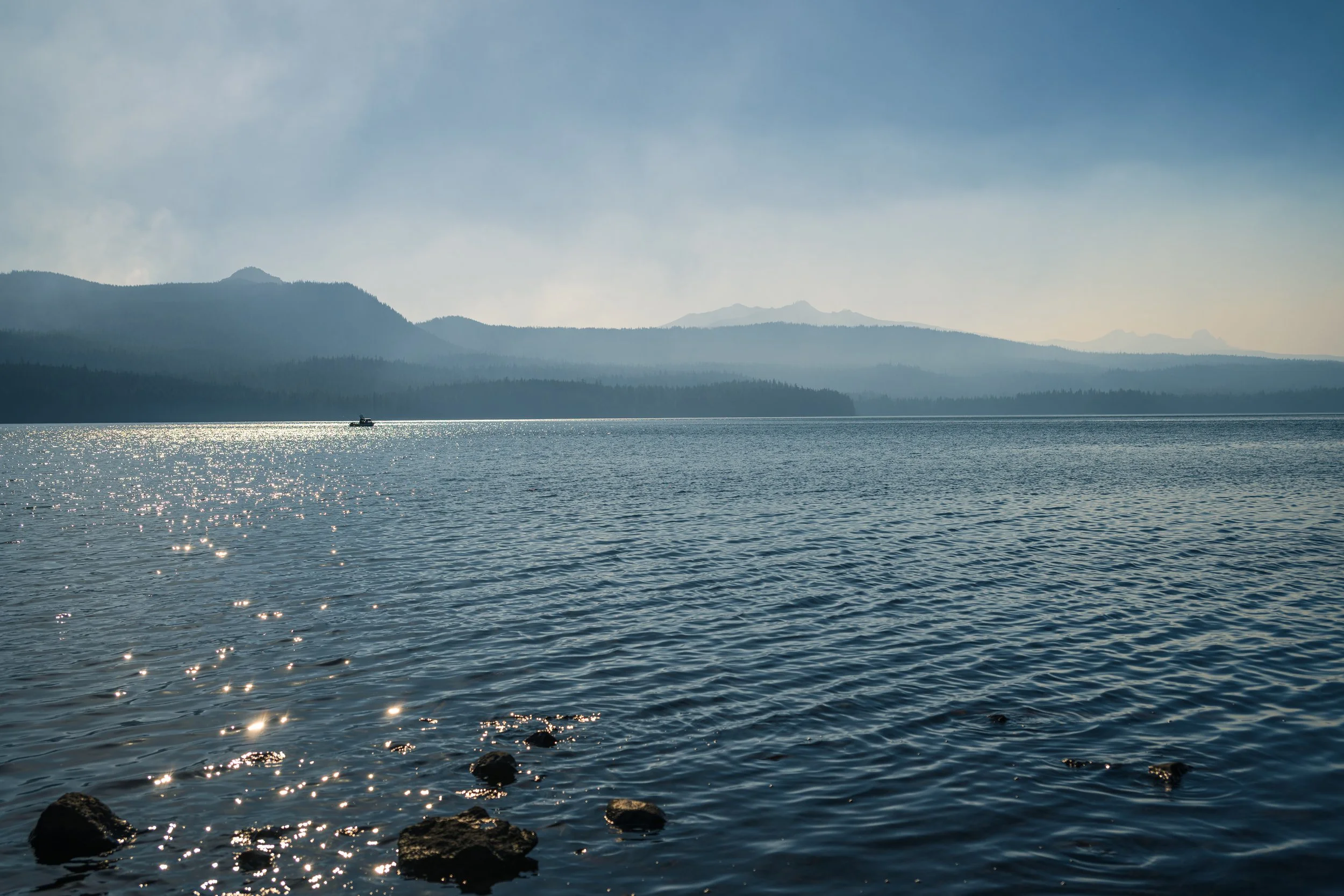 DT24-WestCoastp1 (8 of 101).jpg