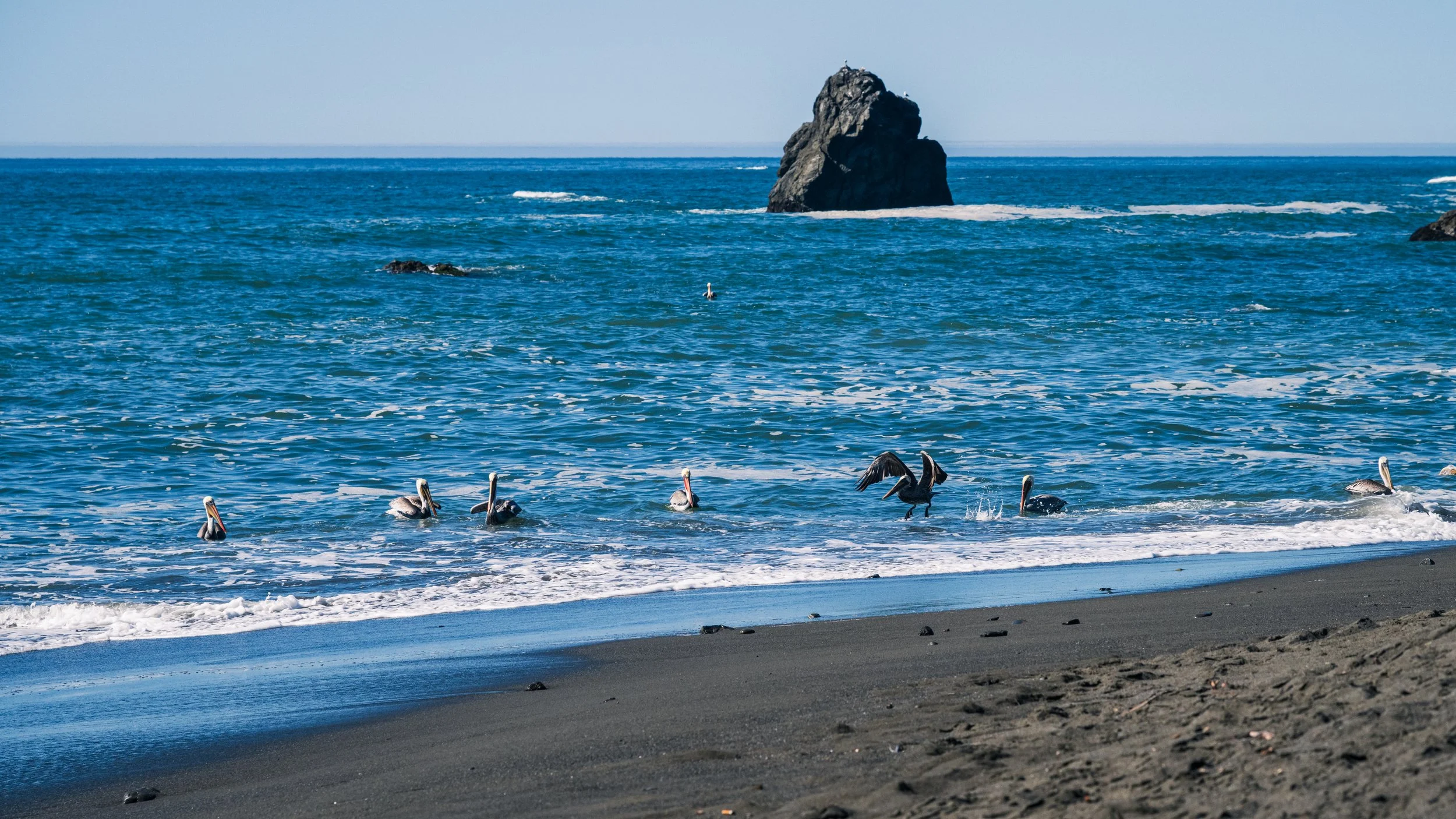 DT24-WestCoastp1 (23 of 101).jpg