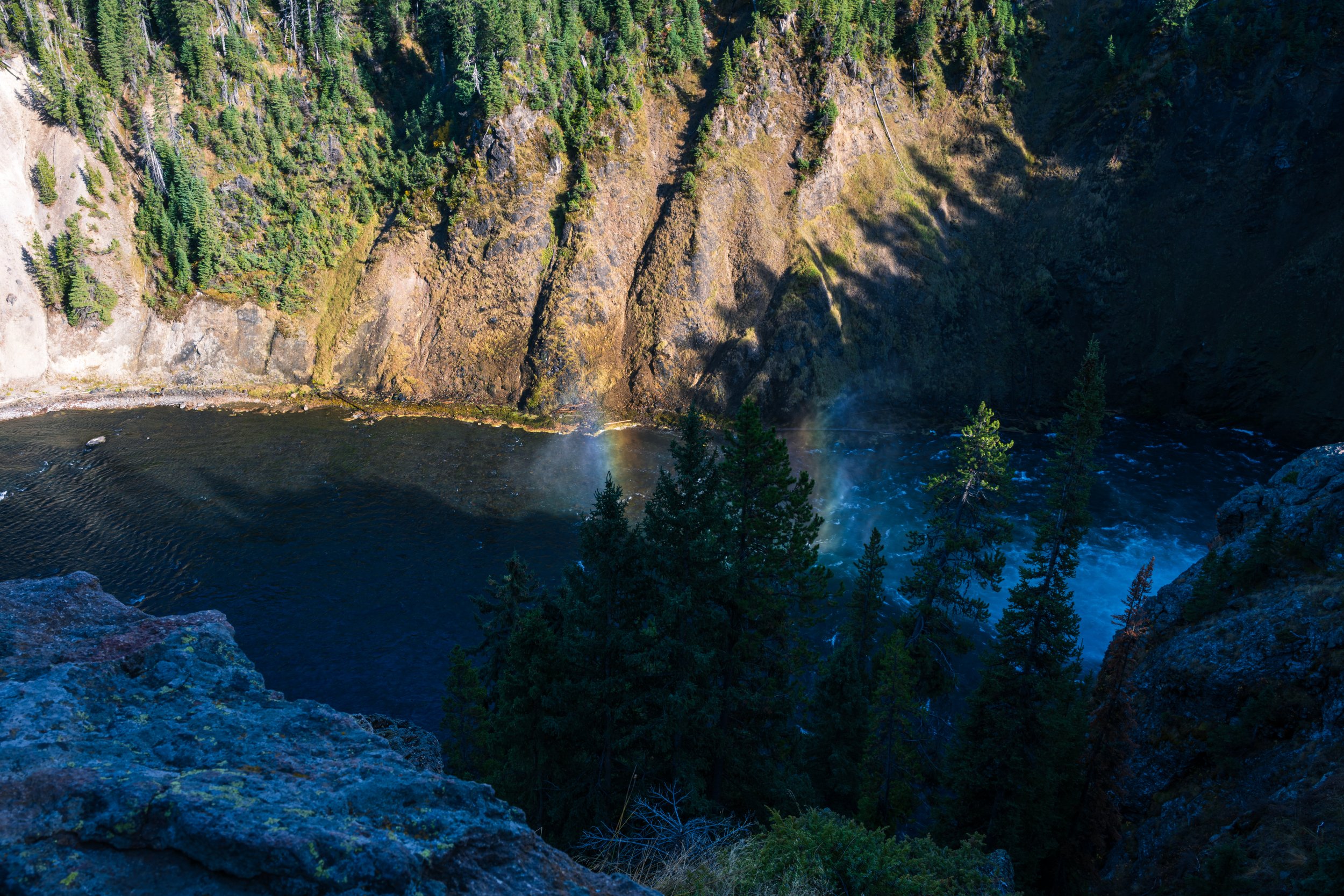 DT24-Yell (26 of 66).jpg