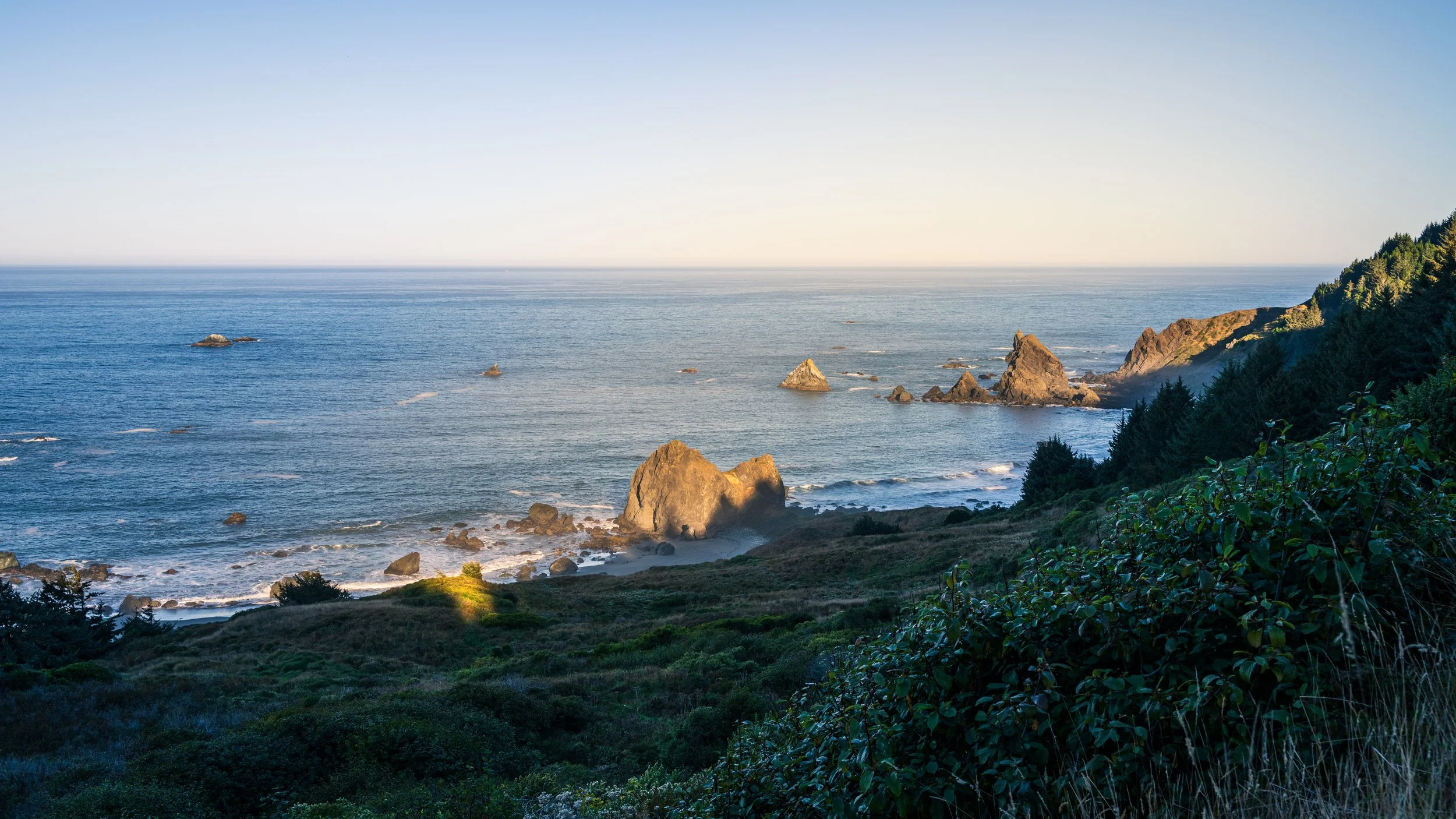 DT24-WestCoastp1 (83 of 101).jpg