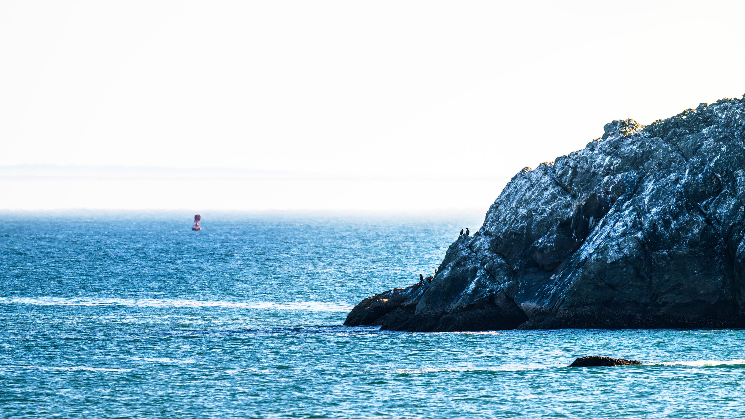 DT24-WestCoastp1 (54 of 101).jpg