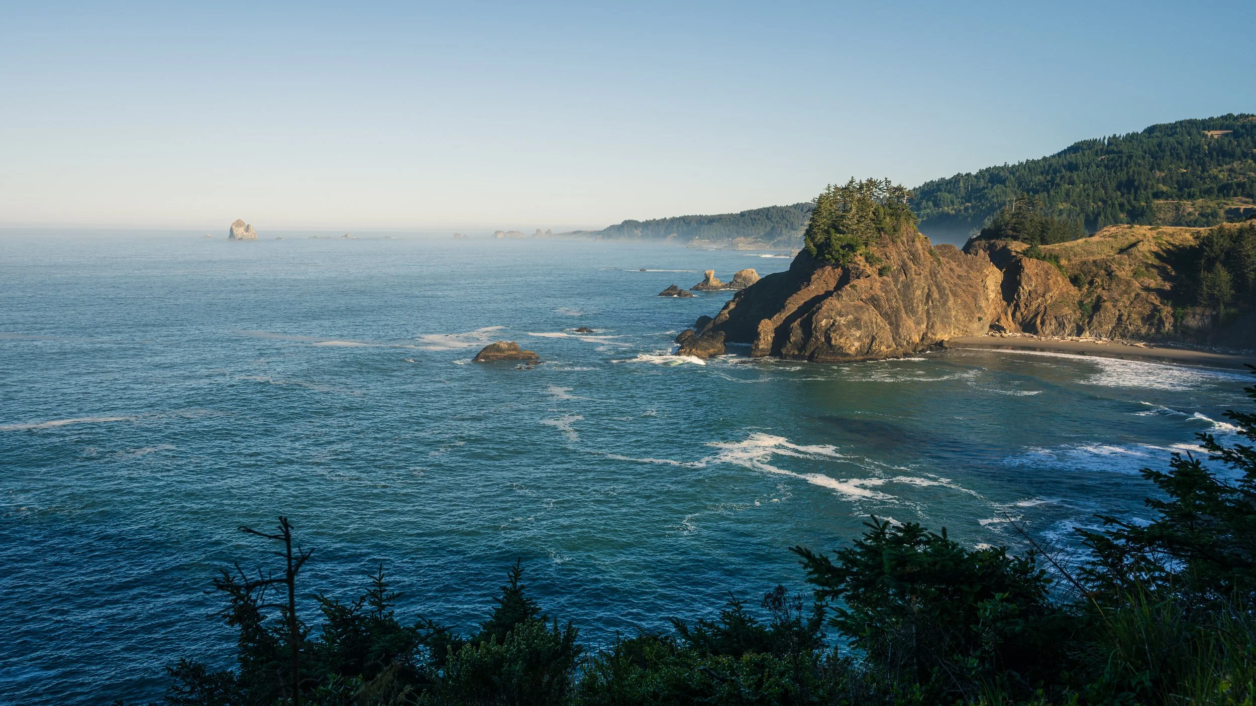 DT24-WestCoastp1 (90 of 101).jpg
