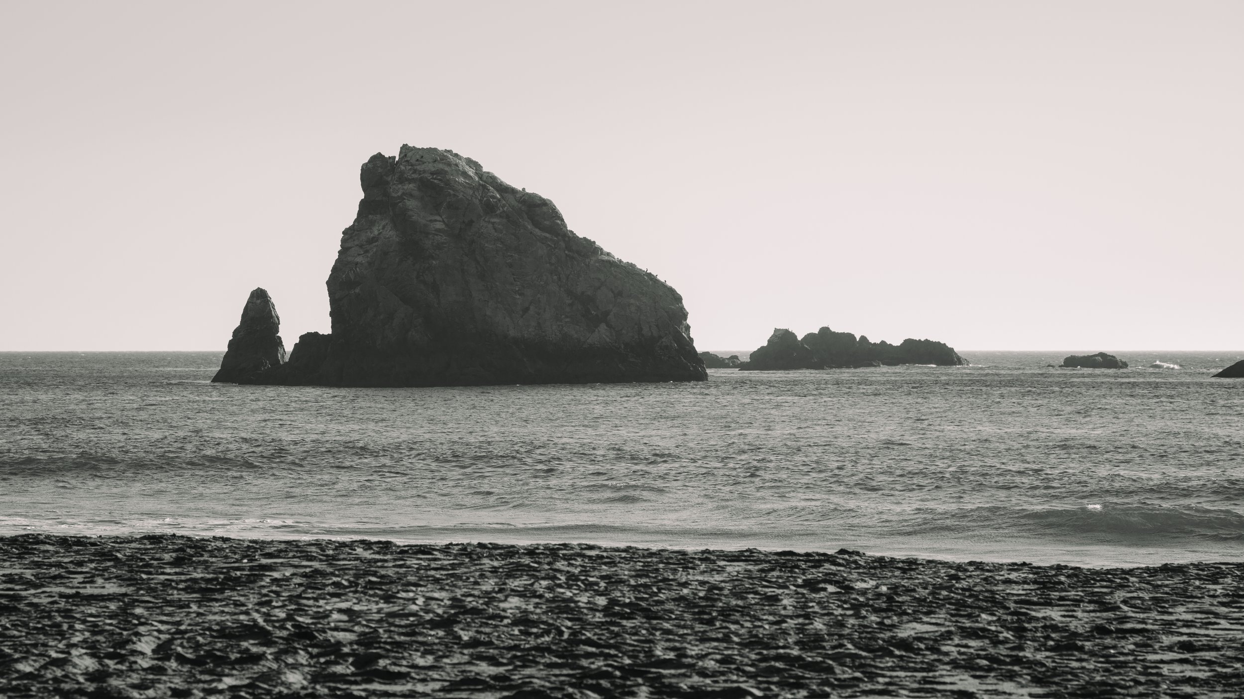 DT24-WestCoastp1 (65 of 101).jpg