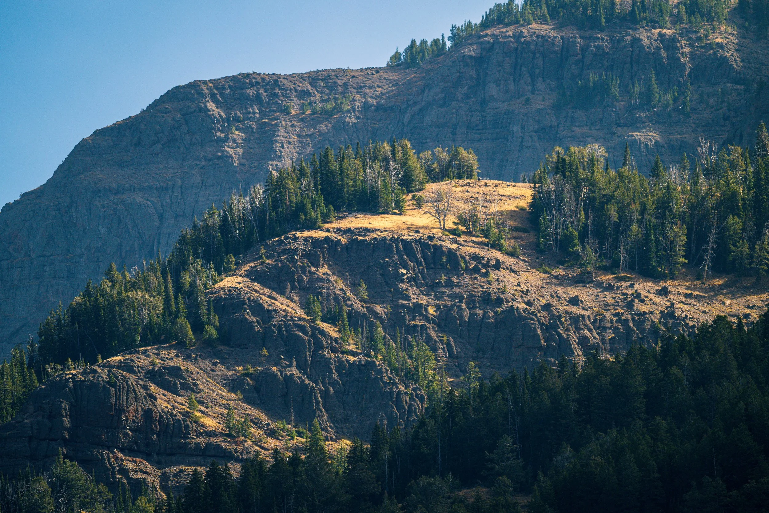Imagin a cabin here