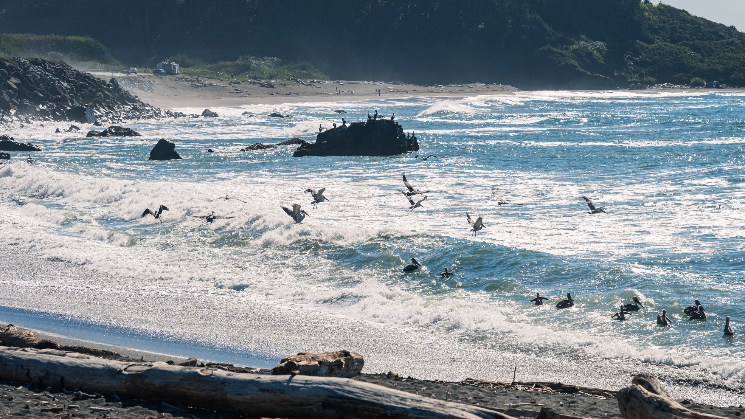 DT24-WestCoastp1 (12 of 101).jpg