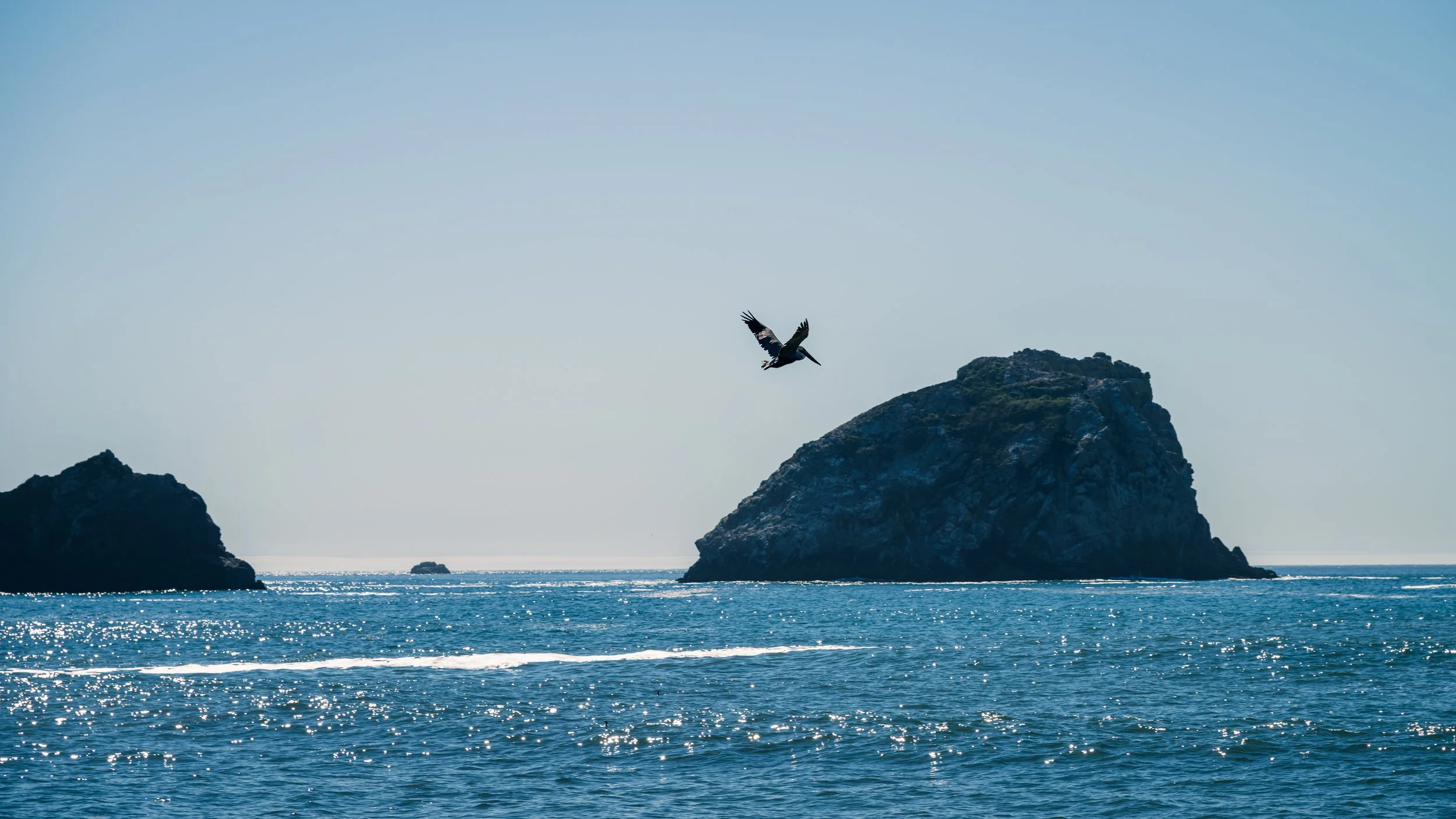 DT24-WestCoastp1 (15 of 101).jpg