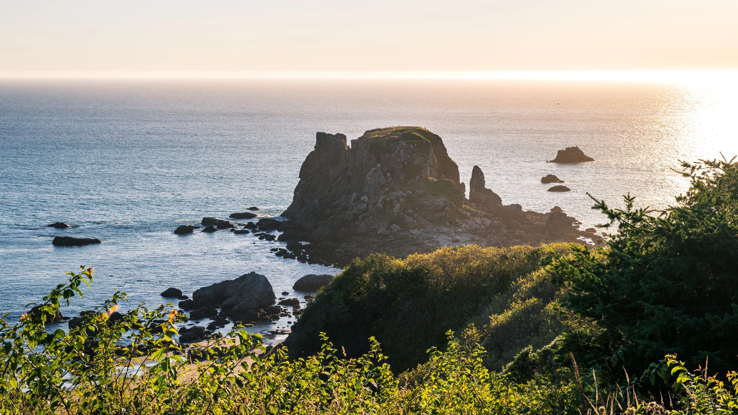 DT24-WestCoastp1 (78 of 101).jpg