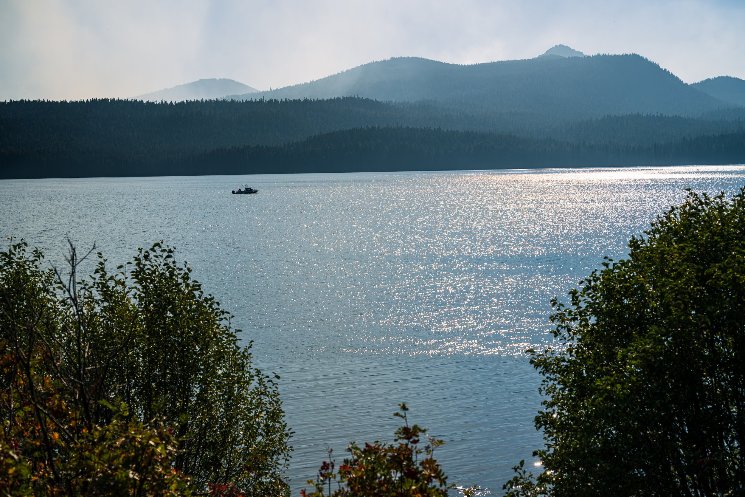 DT24-WestCoastp1 (2 of 101).jpg