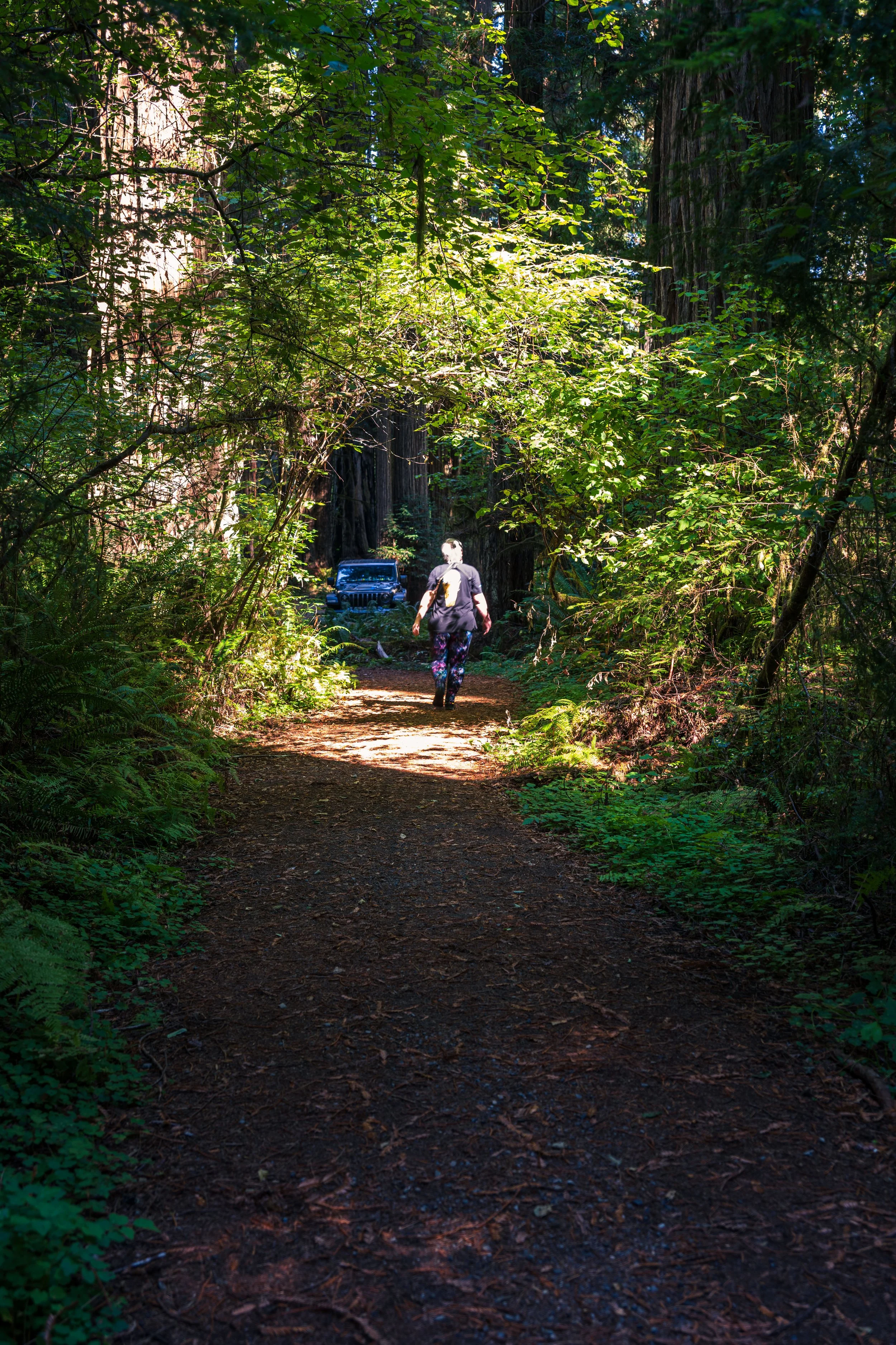 DT24-Redwoods (10 of 10).jpg