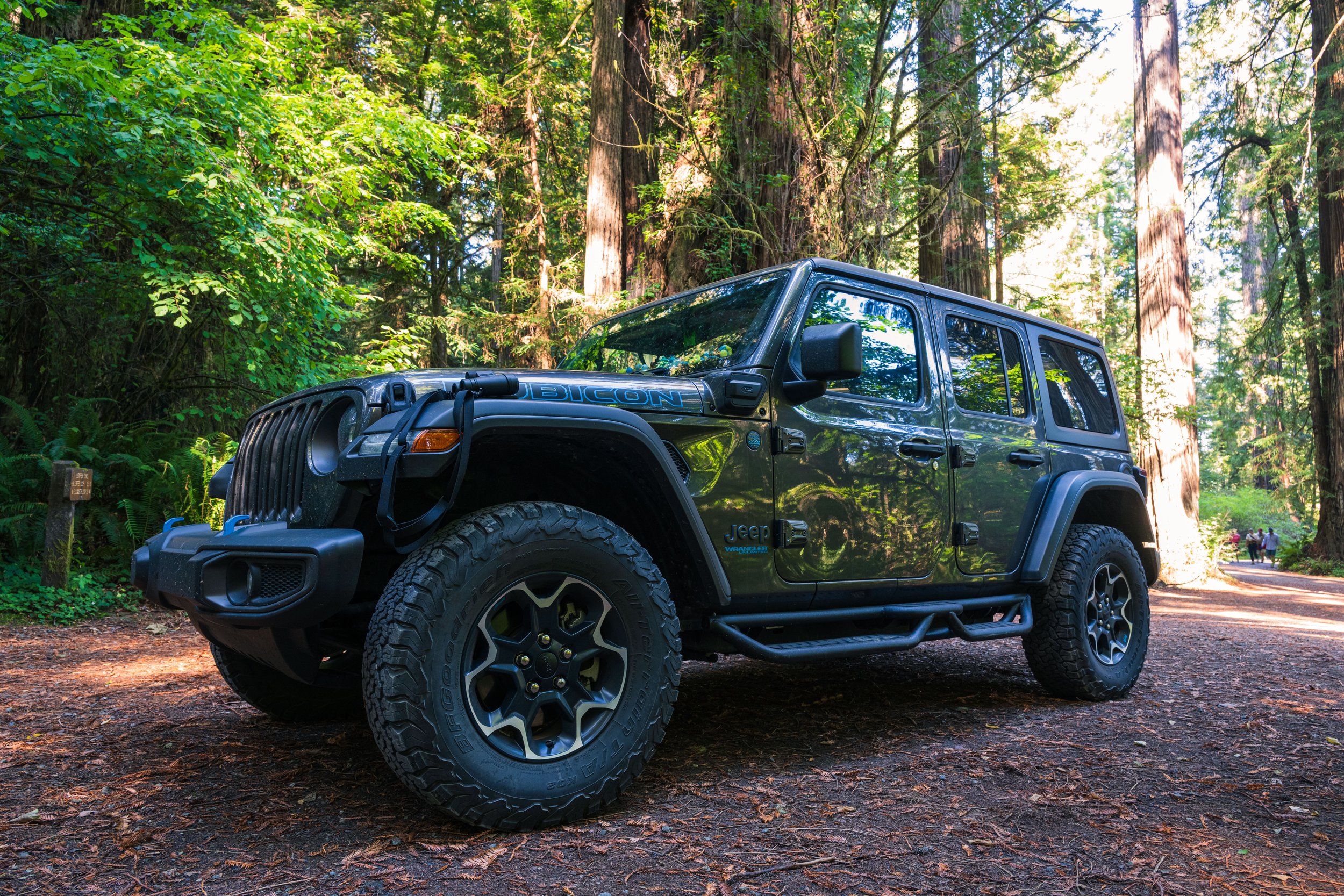 DT24-Redwoods (2 of 10).jpg