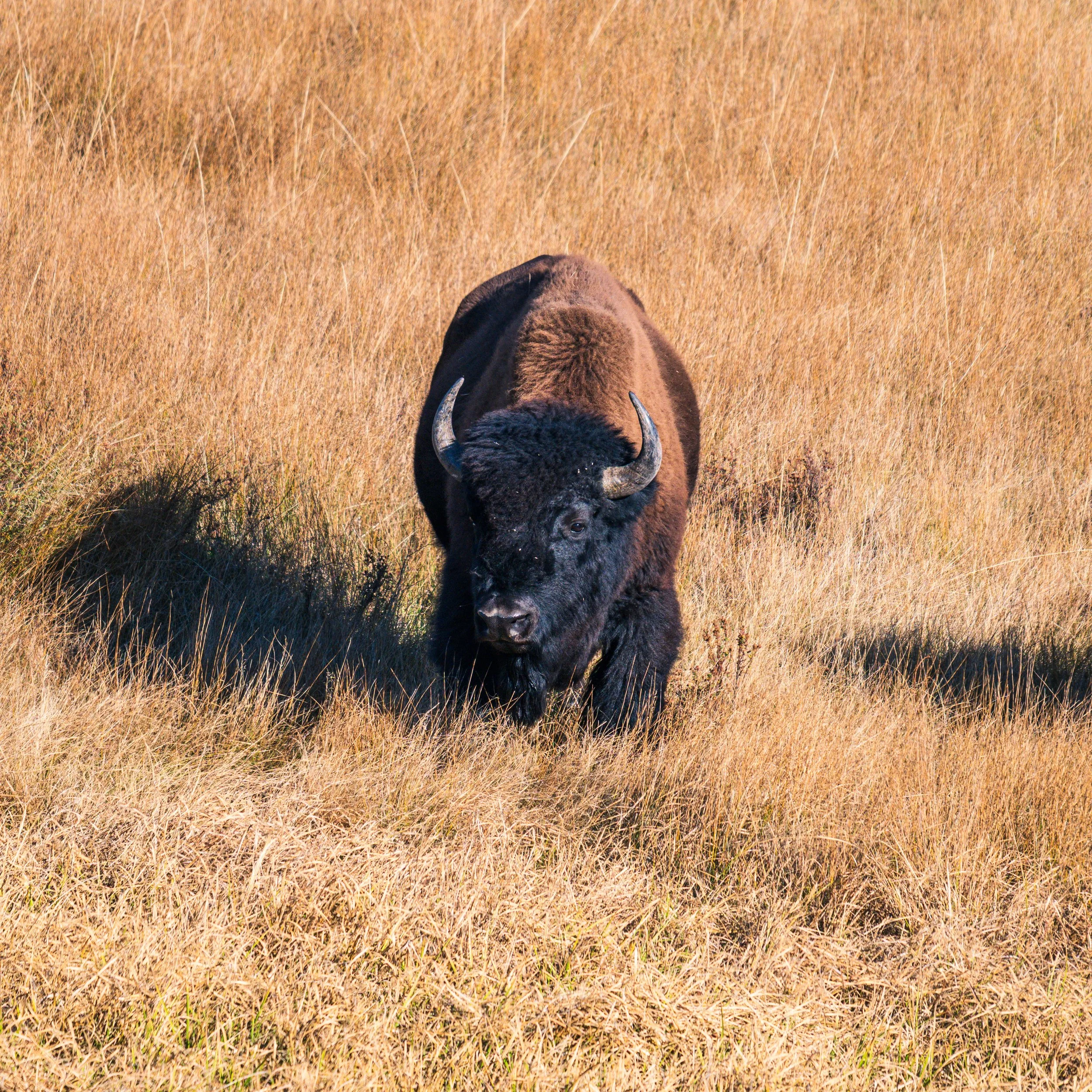DT24-Yell (13 of 66).jpg