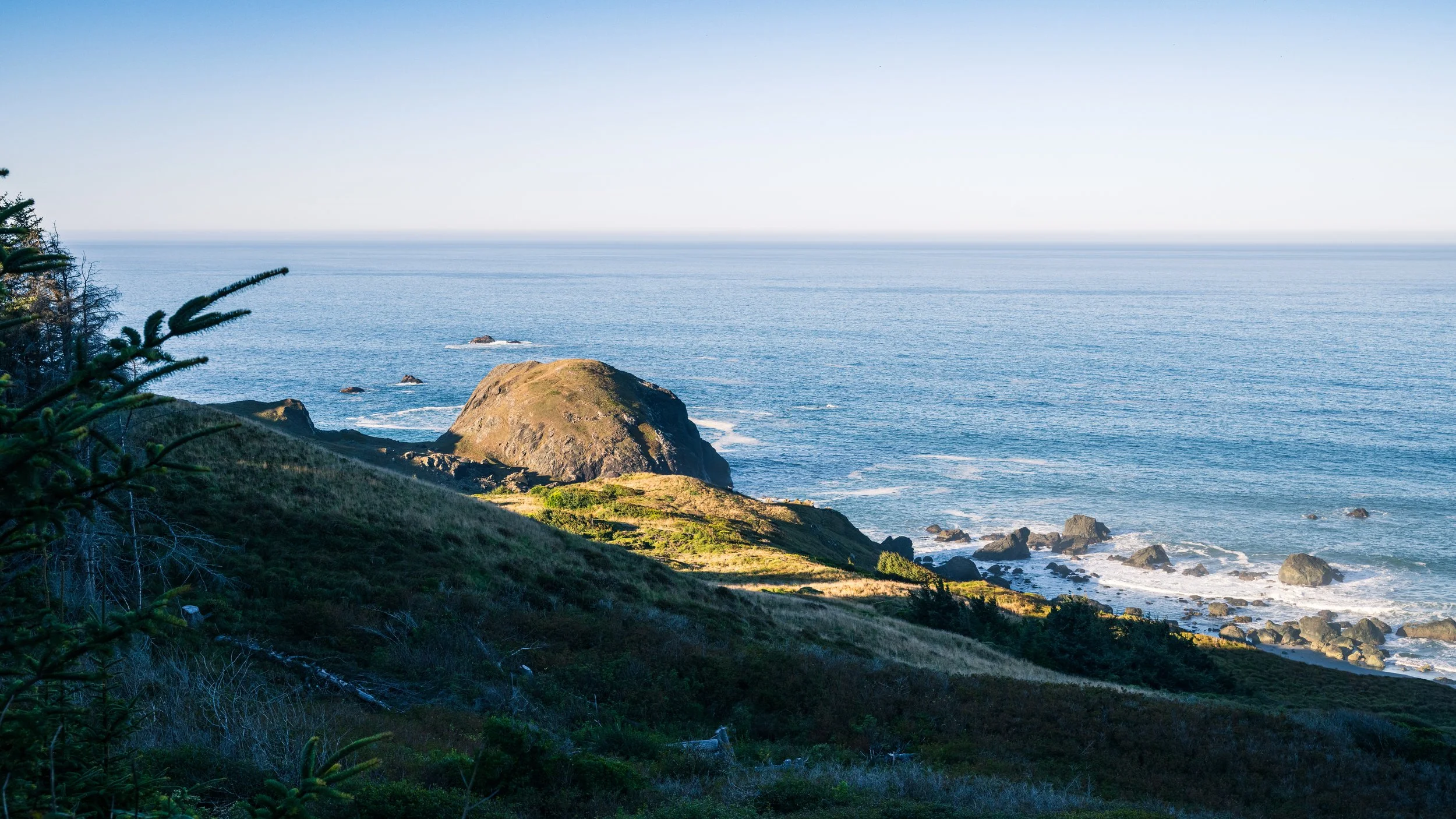 DT24-WestCoastp1 (86 of 101).jpg