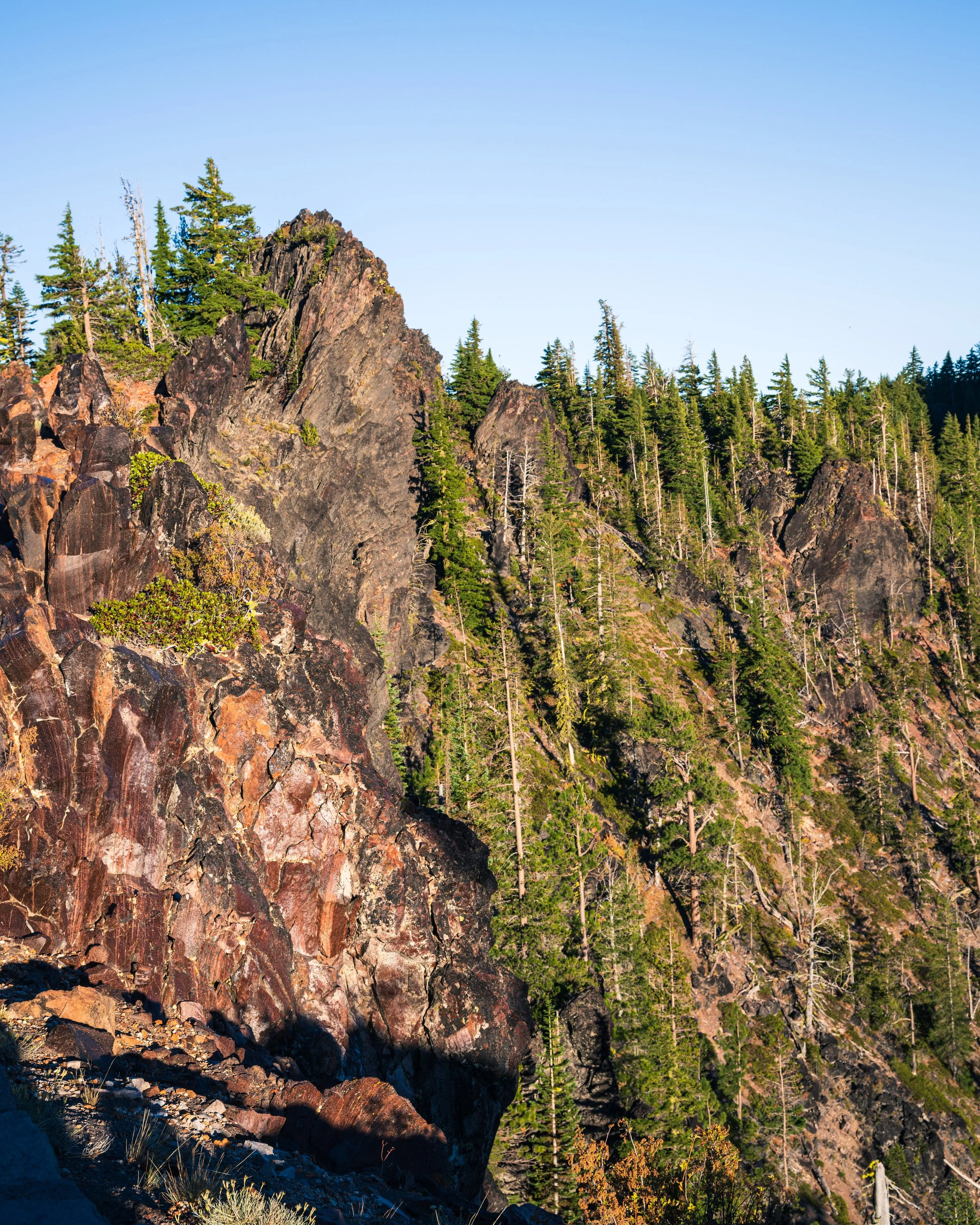 DT24-craterlake (37 of 73).jpg