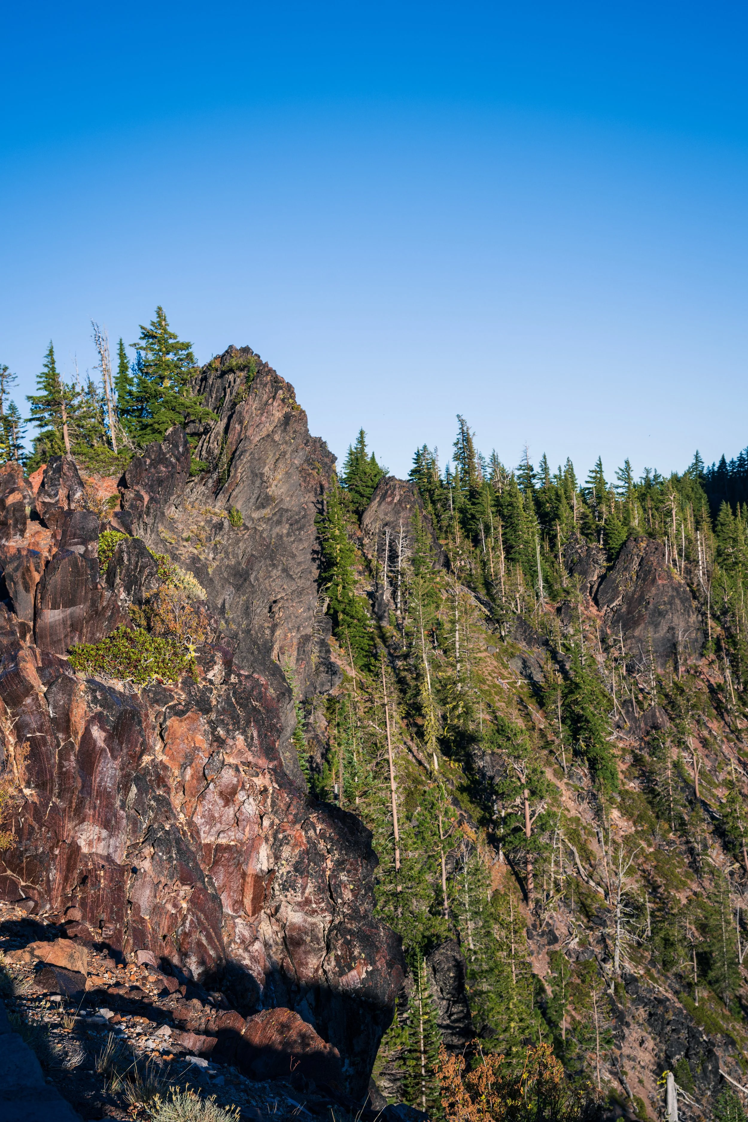 DT24-craterlake (38 of 73).jpg