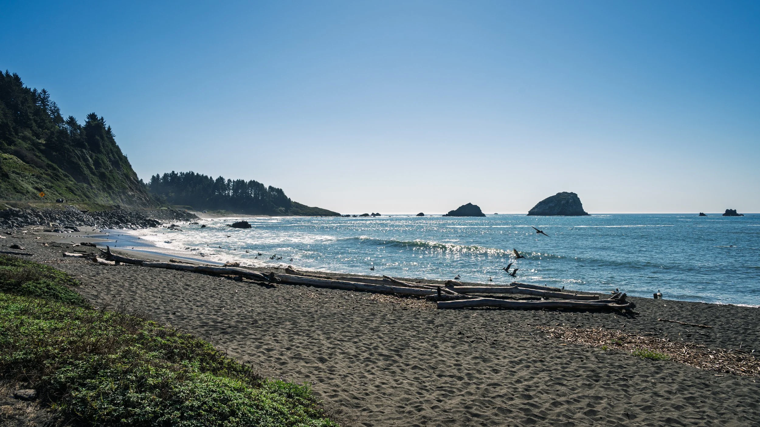 DT24-WestCoastp1 (13 of 101).jpg