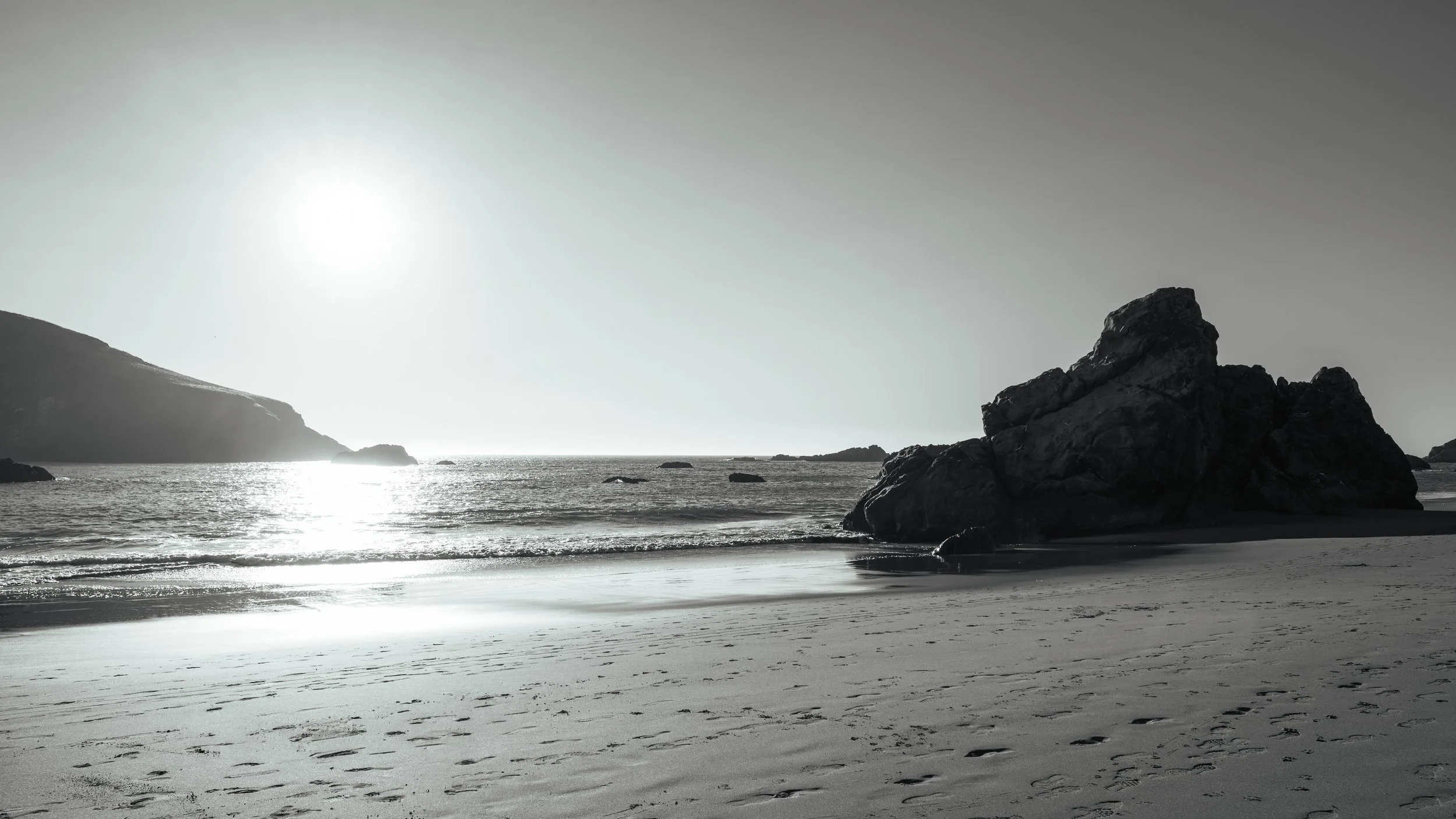 DT24-WestCoastp1 (68 of 101).jpg