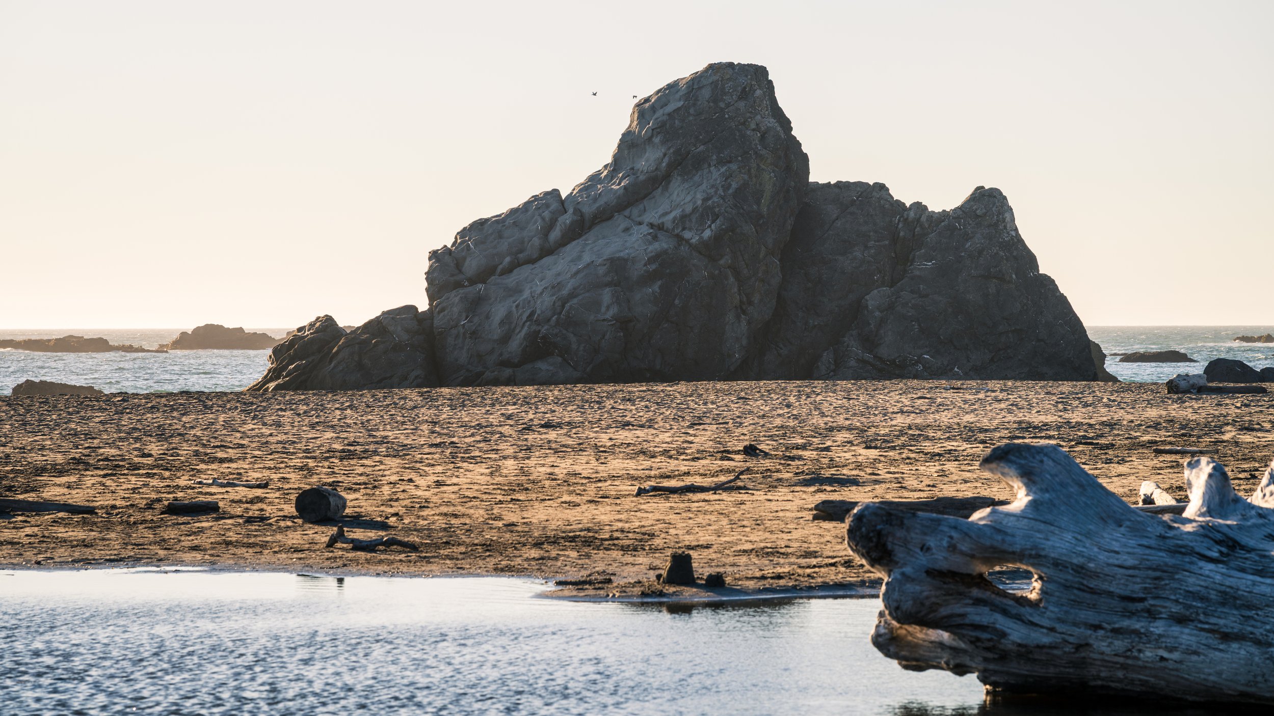 DT24-WestCoastp1 (63 of 101).jpg