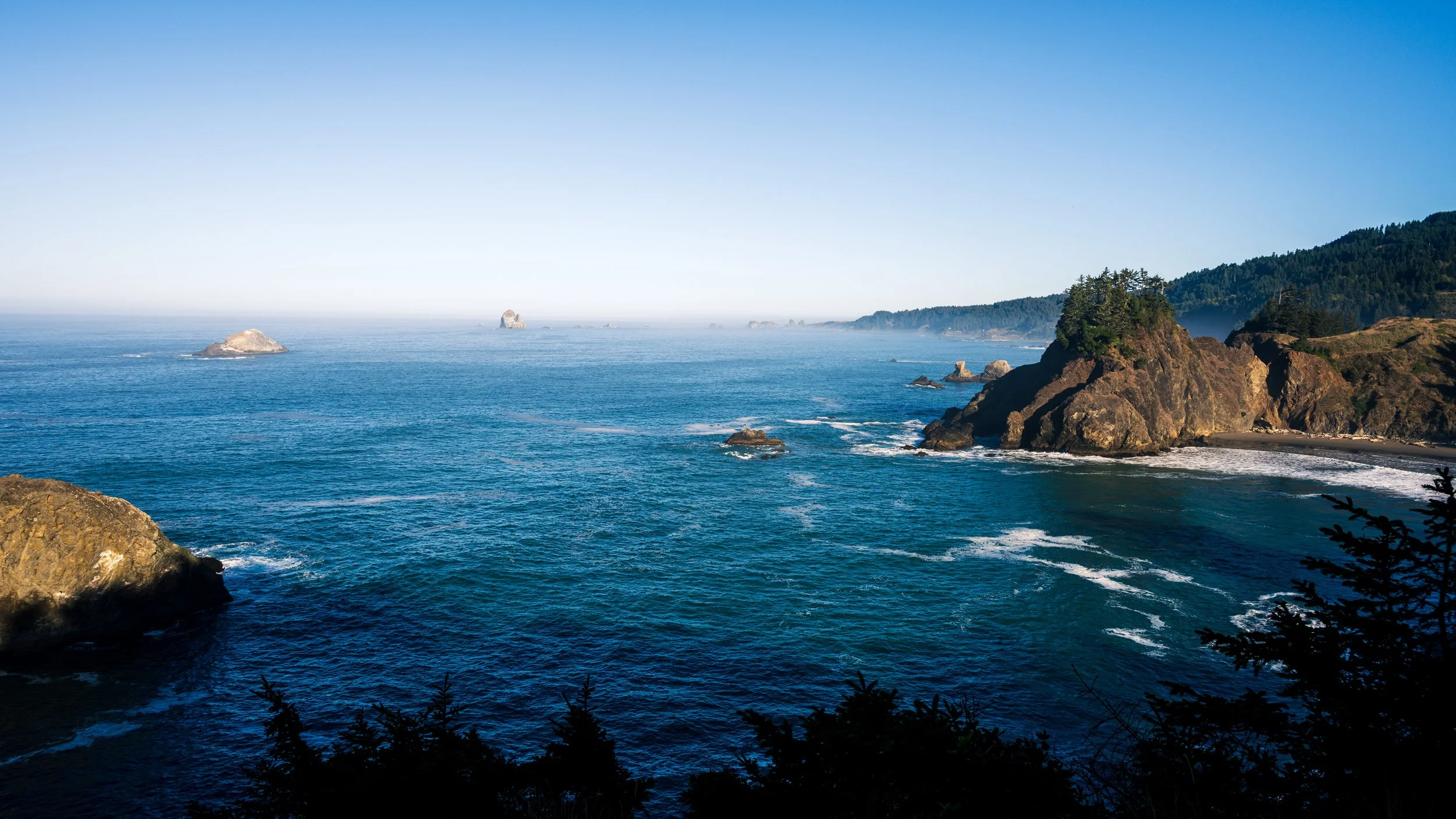 DT24-WestCoastp1 (93 of 101).jpg