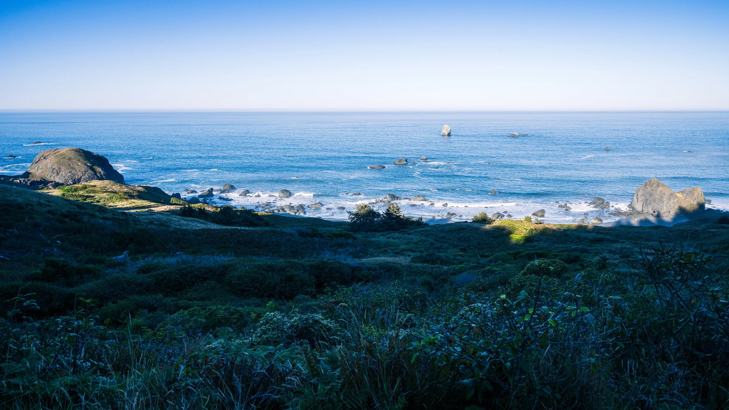 DT24-WestCoastp1 (87 of 101).jpg