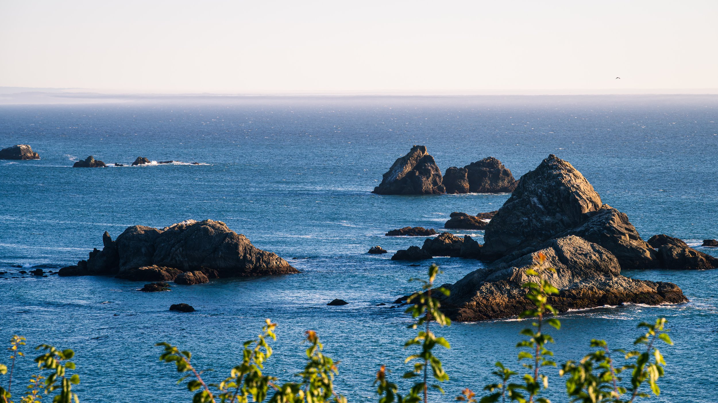 DT24-WestCoastp1 (80 of 101).jpg