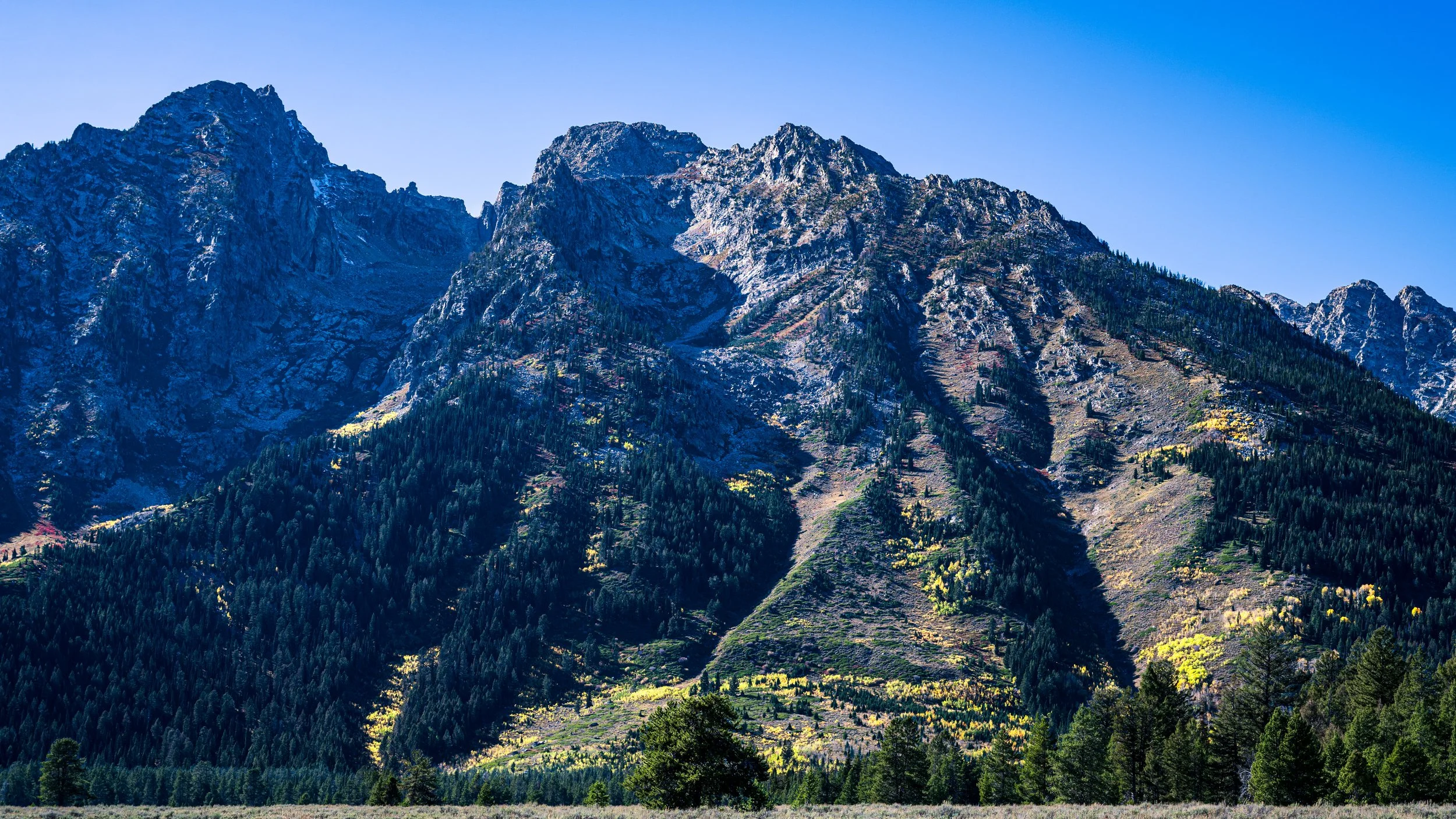 DT24-Teton (19 of 40).jpg