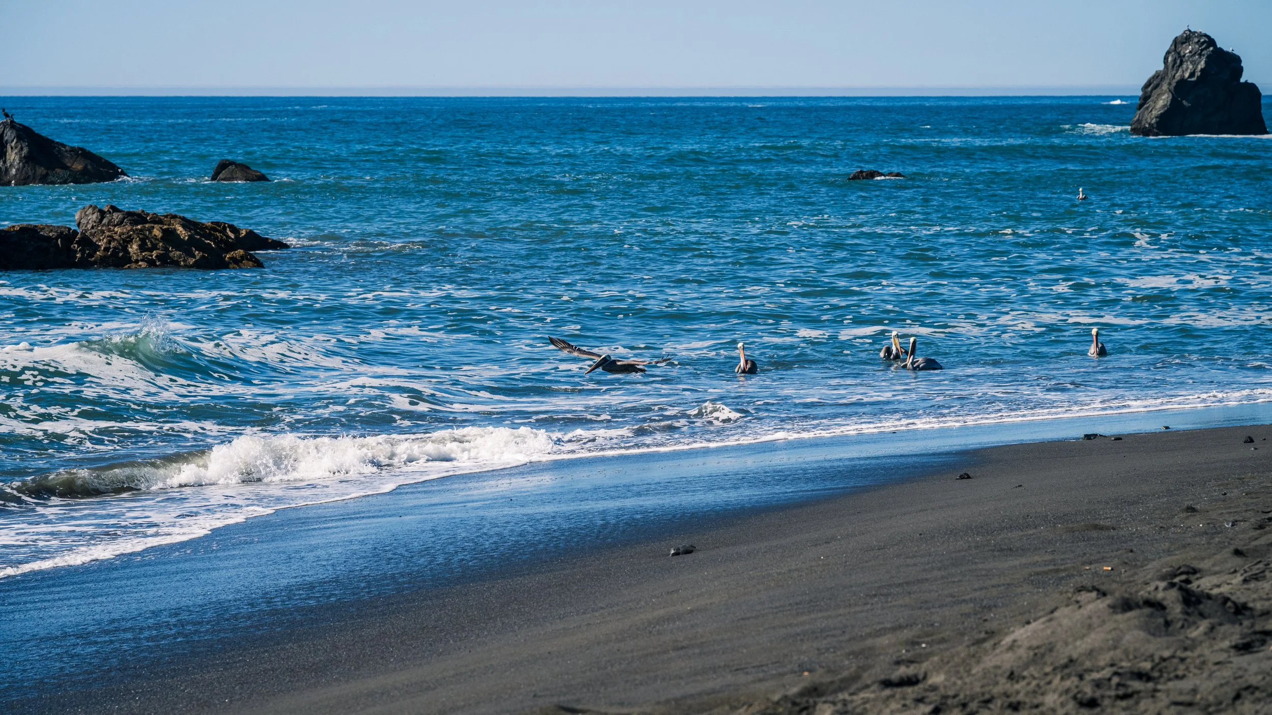 DT24-WestCoastp1 (25 of 101).jpg