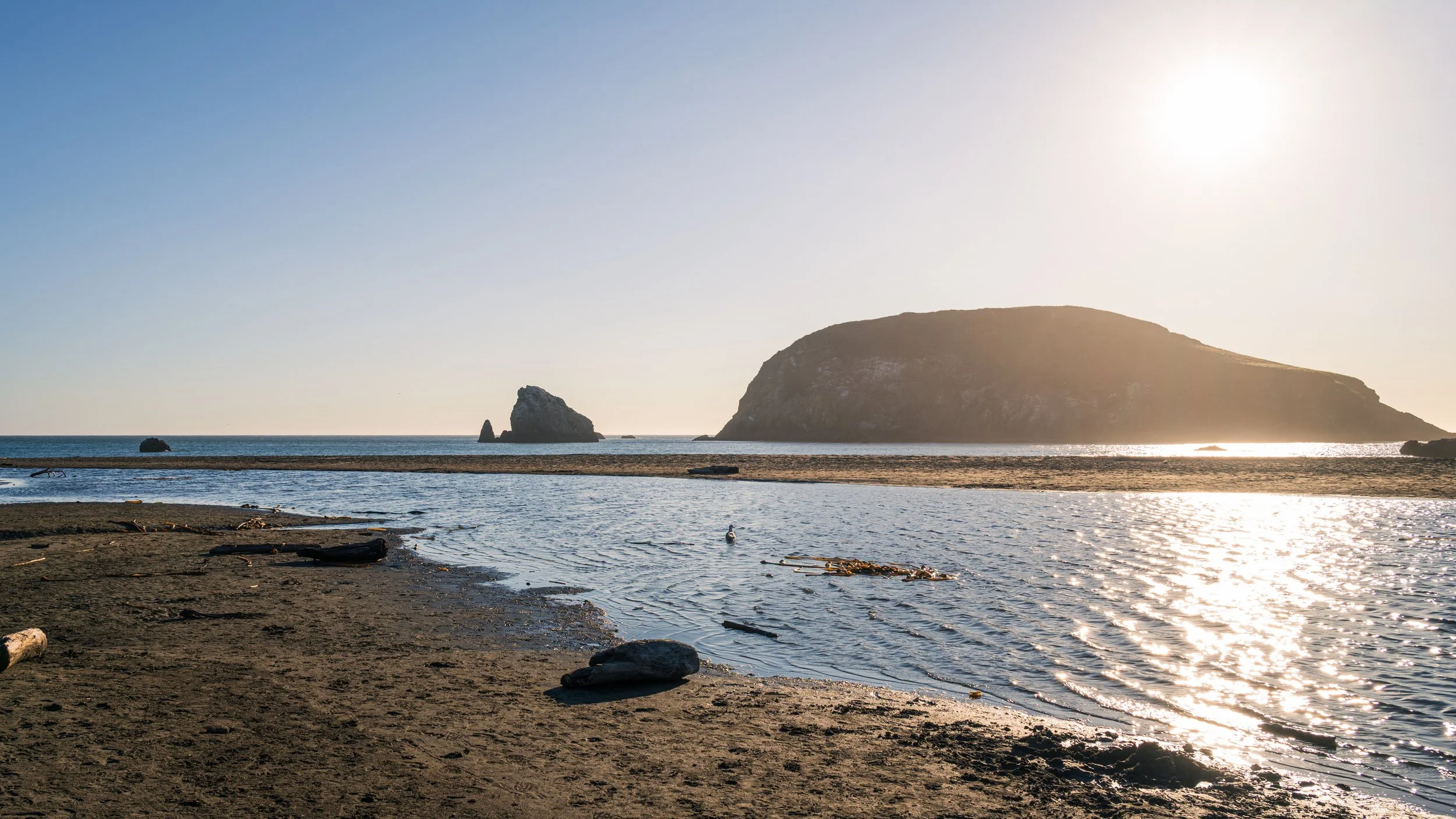 DT24-WestCoastp1 (60 of 101).jpg