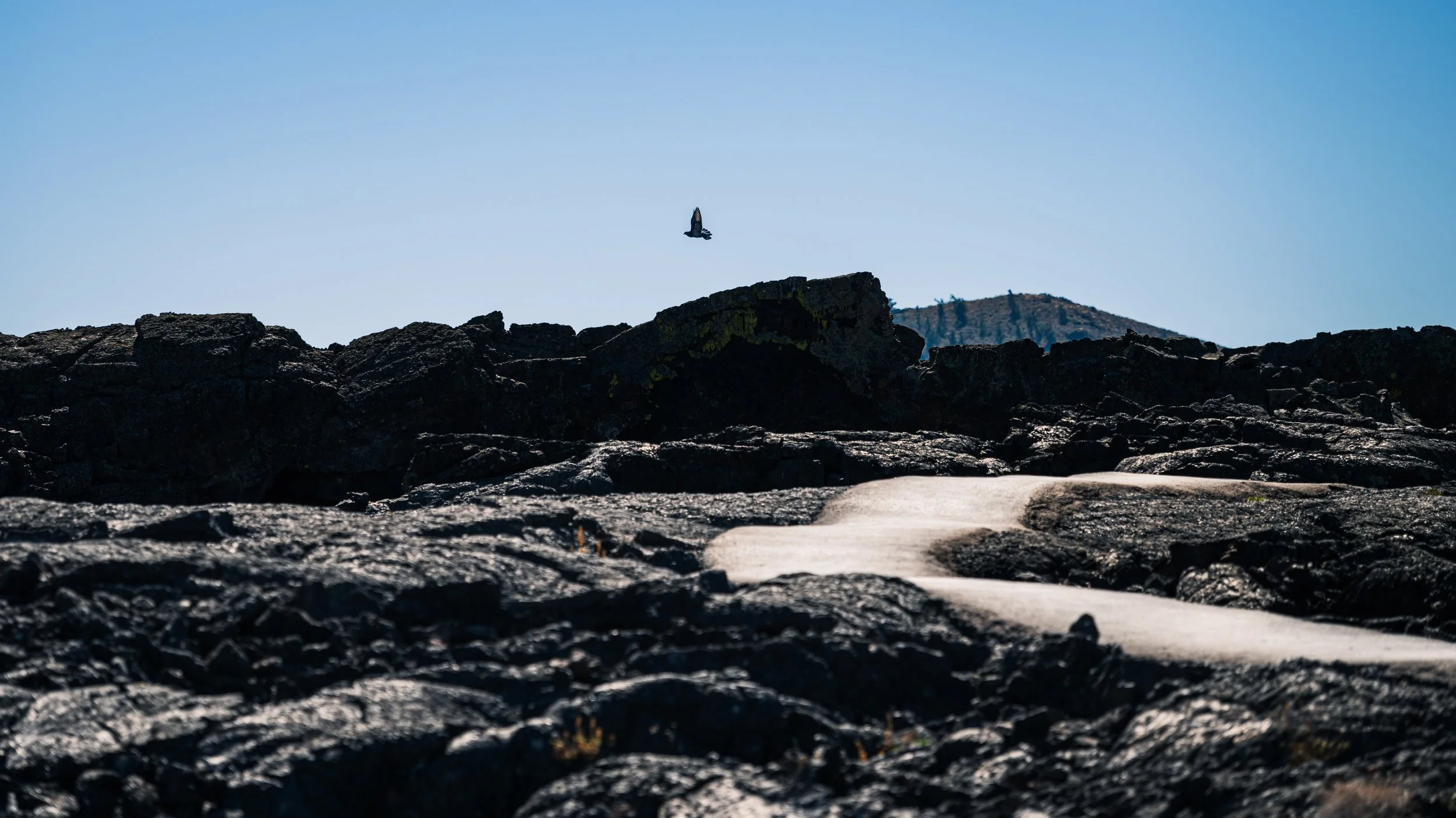 DT24-COTM (29 of 31).jpg