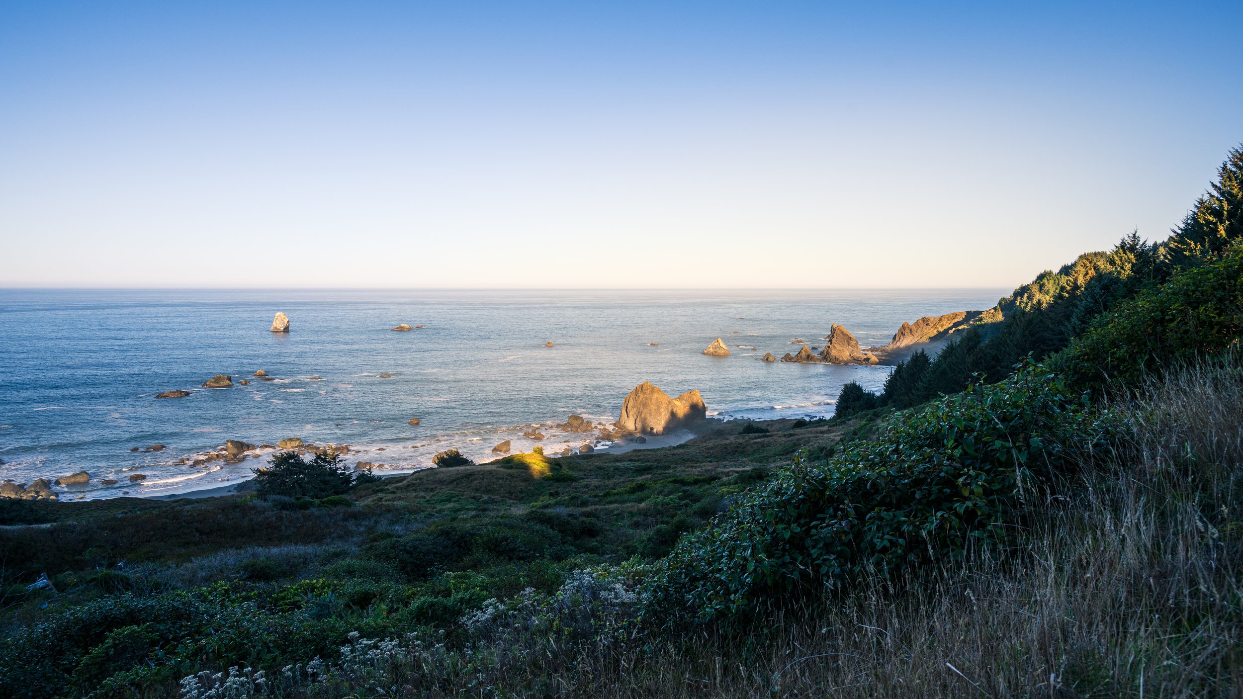 DT24-WestCoastp1 (84 of 101).jpg