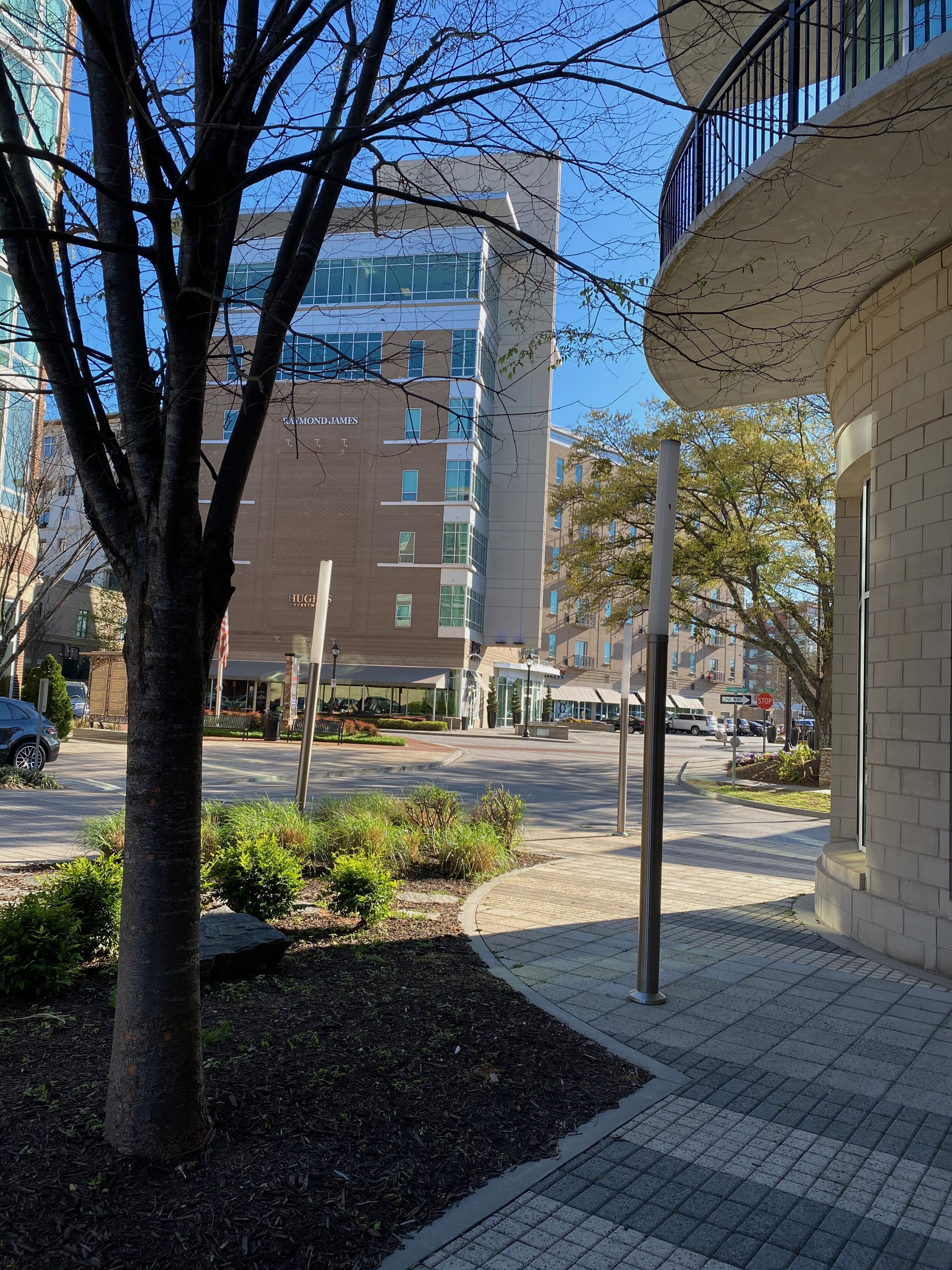 IMG_1919.jpeg
