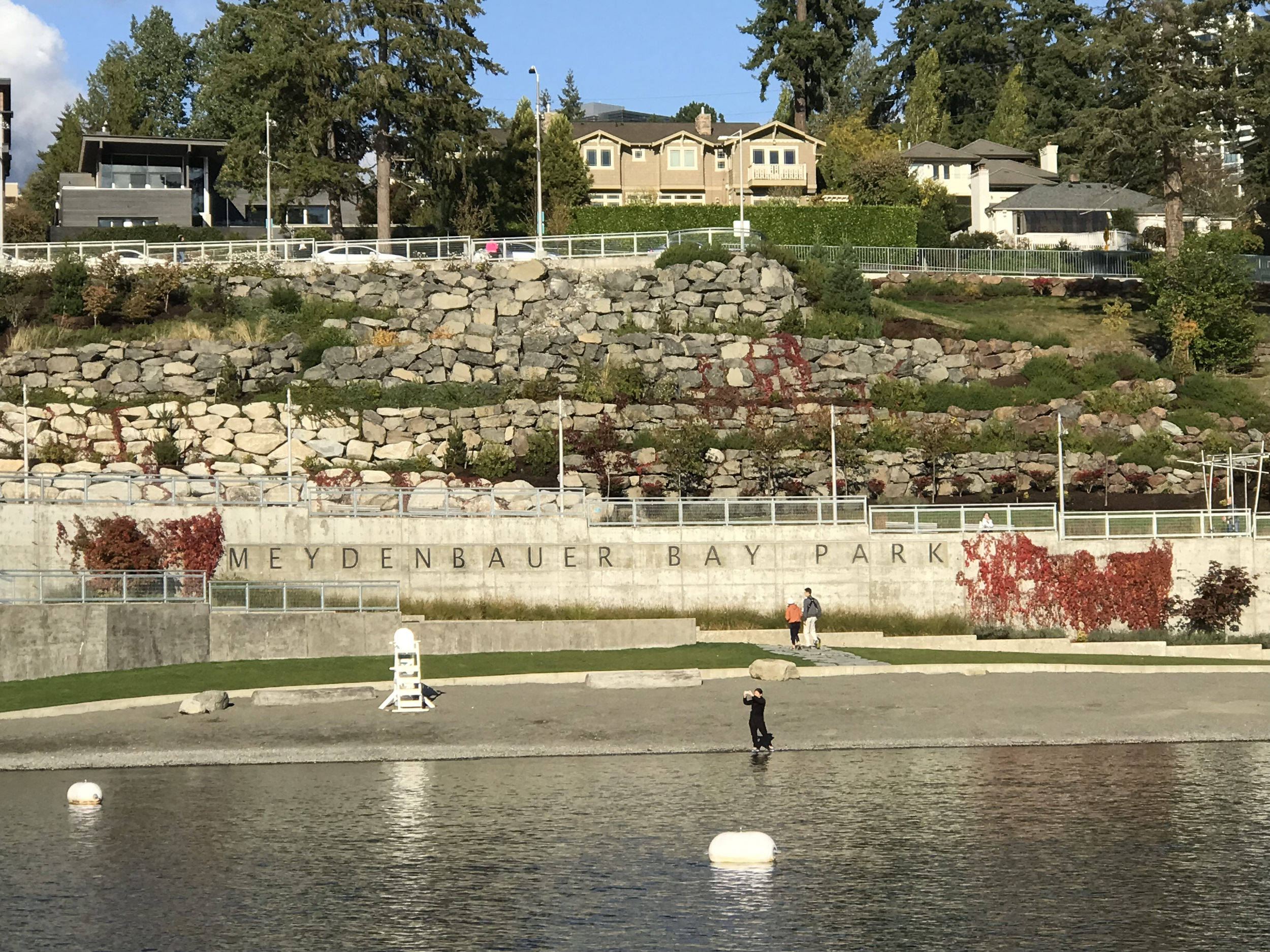Meydenbauer Bay Park - A Favorite!