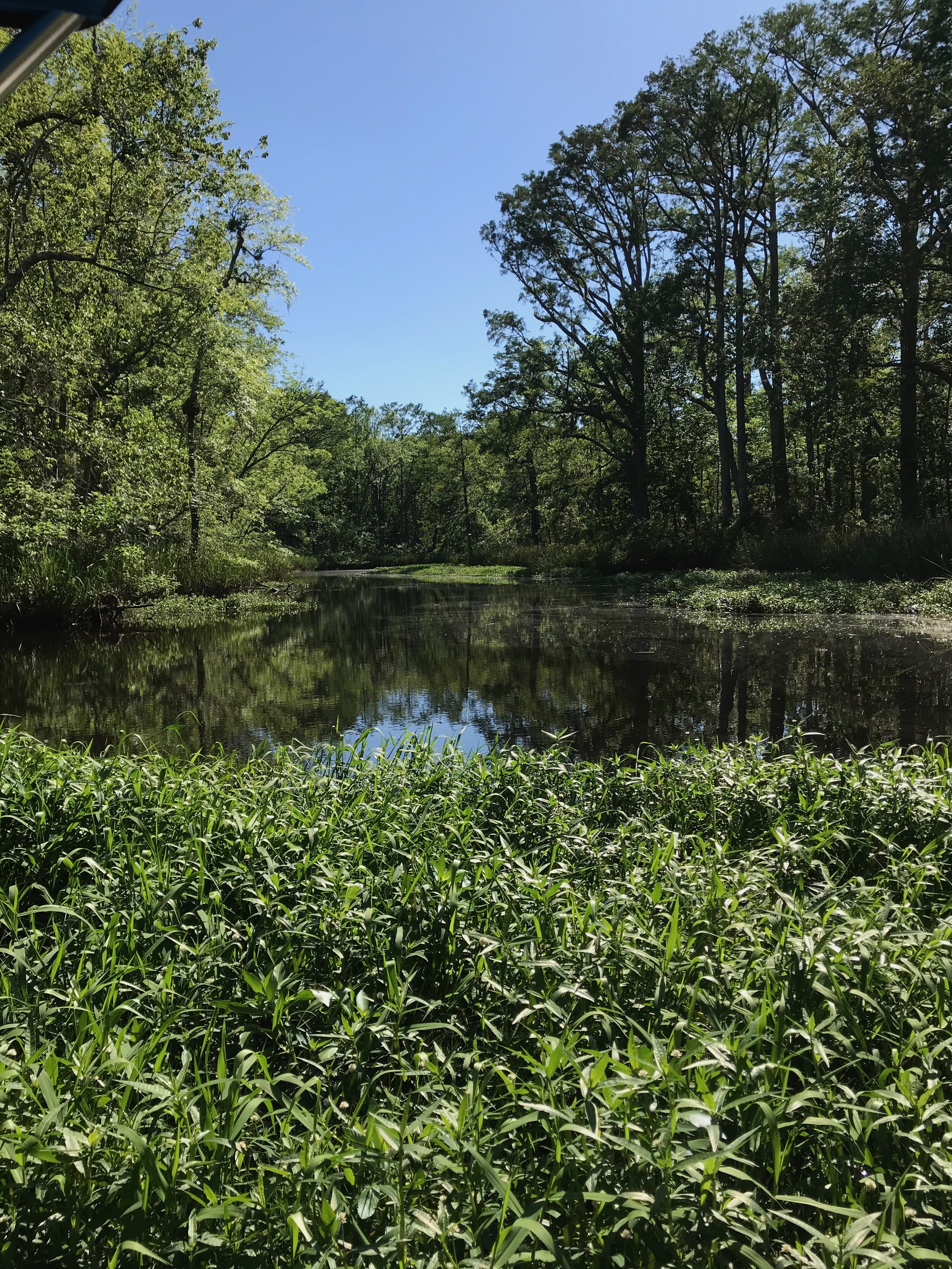 IMG_0608.jpeg