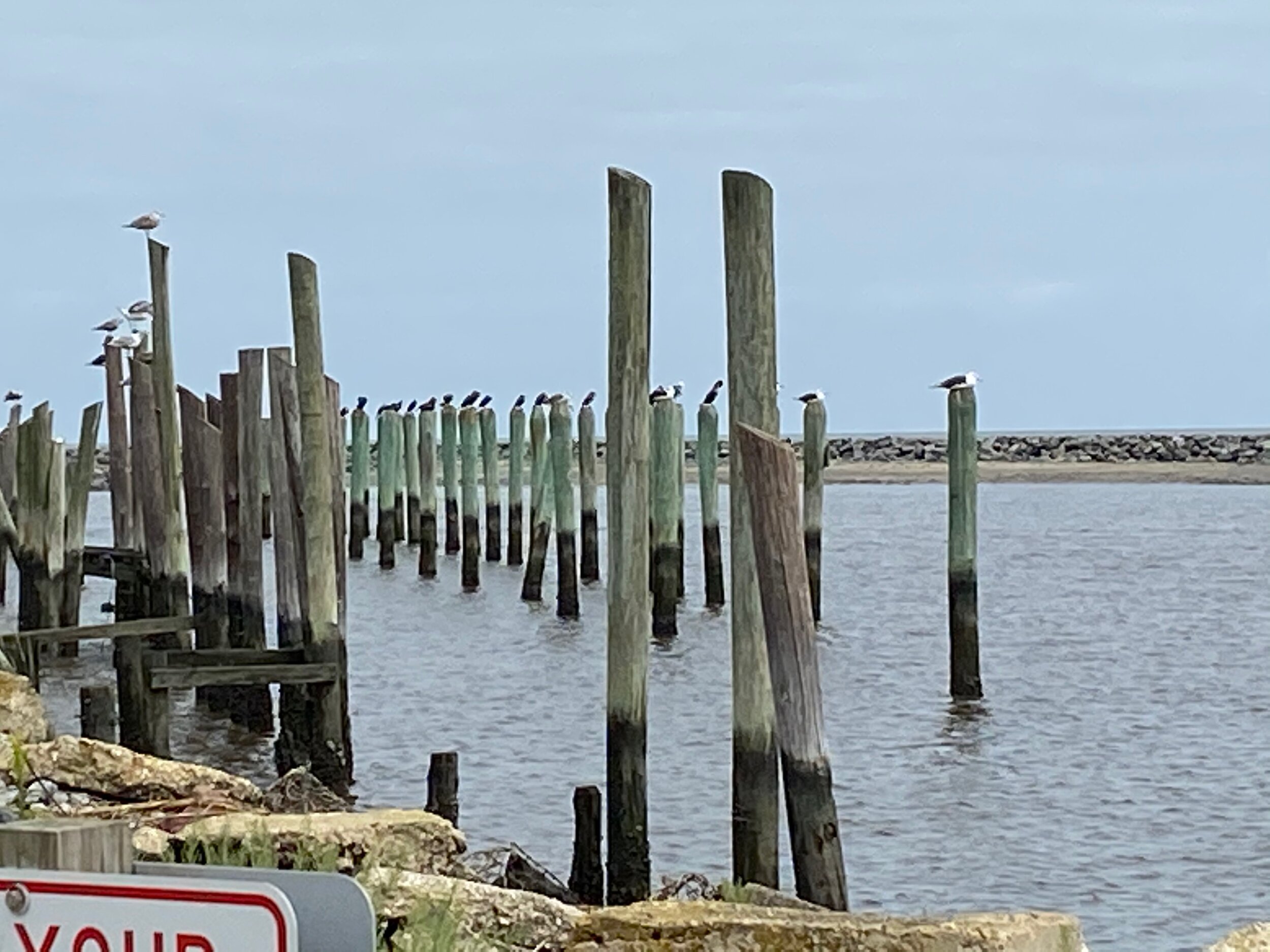 IMG_0287.jpeg
