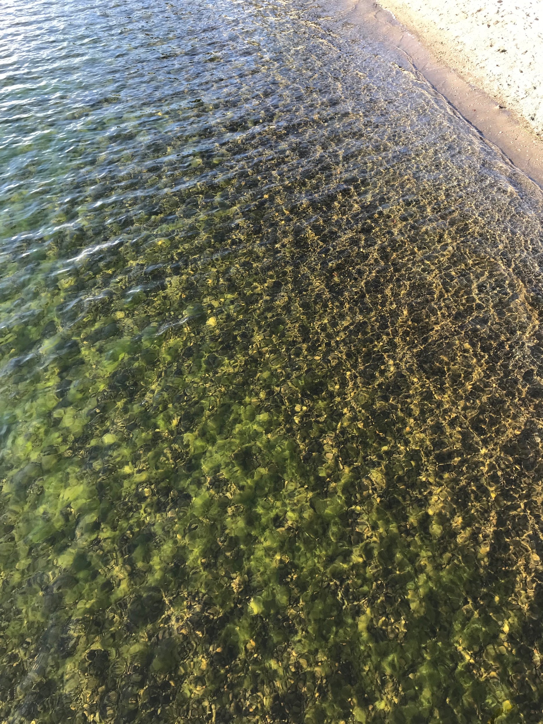 Such clear water!