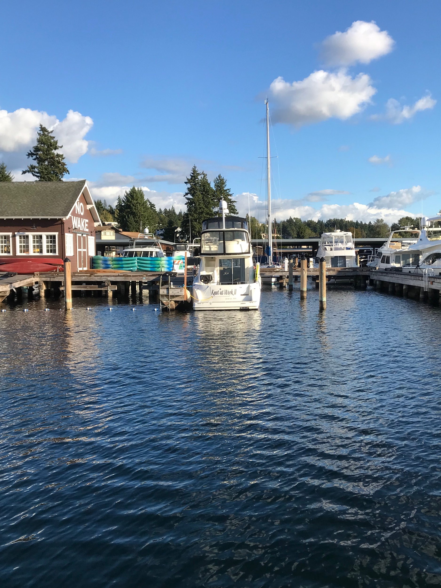 Scenes of the lake by Meydenbauer Bay Park