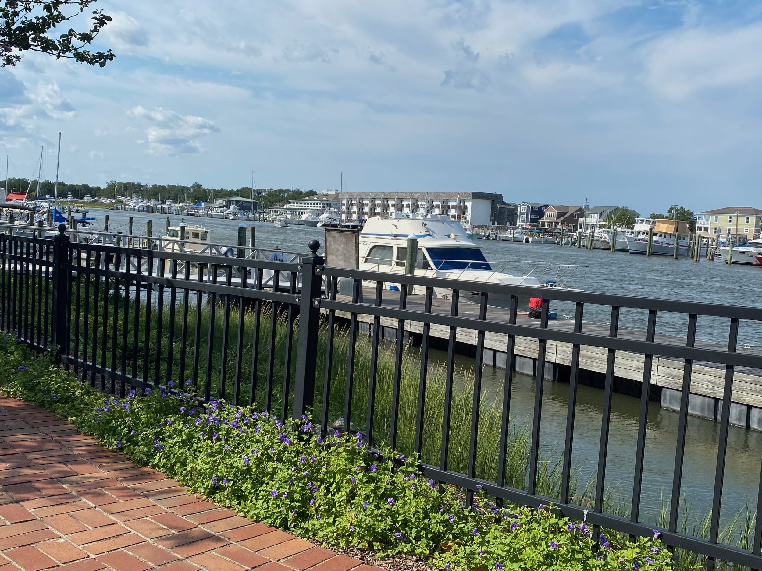 IMG_0091.jpeg
