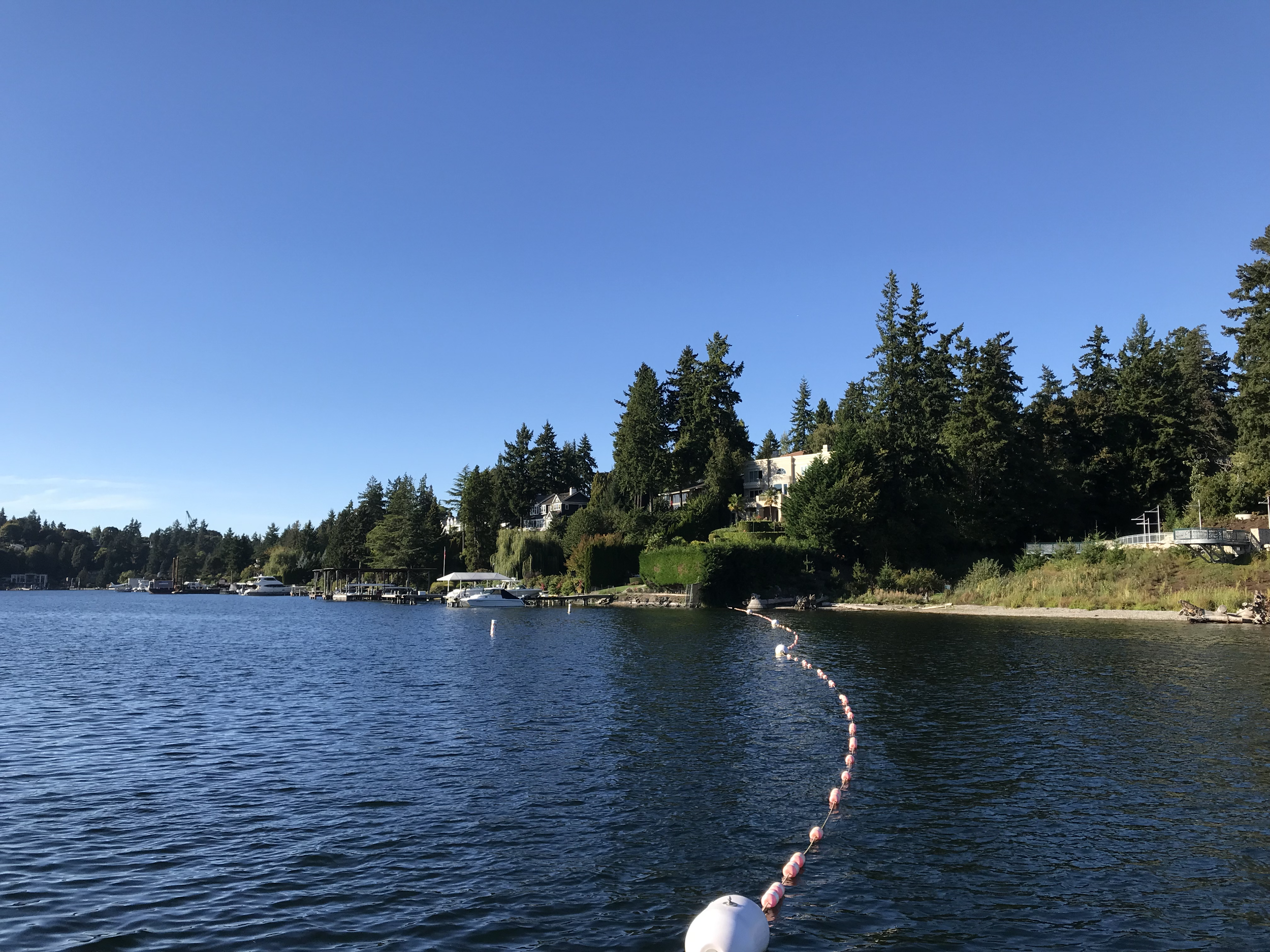 The separation between the swimming area to the right and the lake.